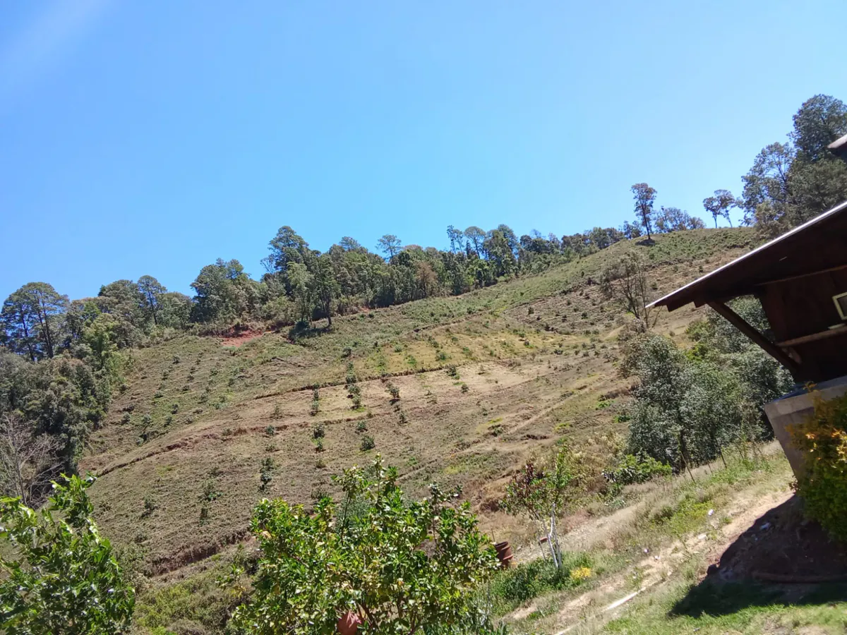 Terreno Spot2