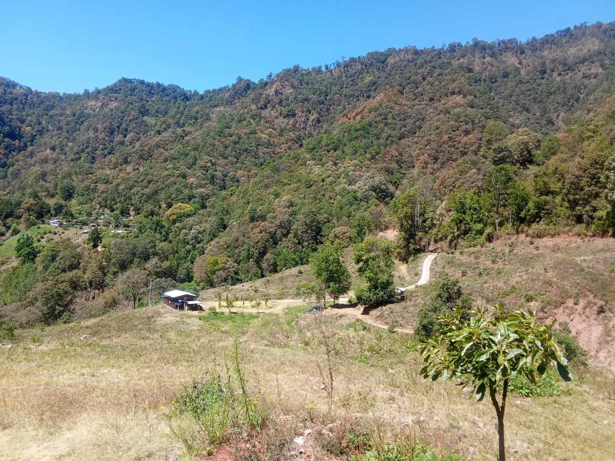 Terreno Spot2