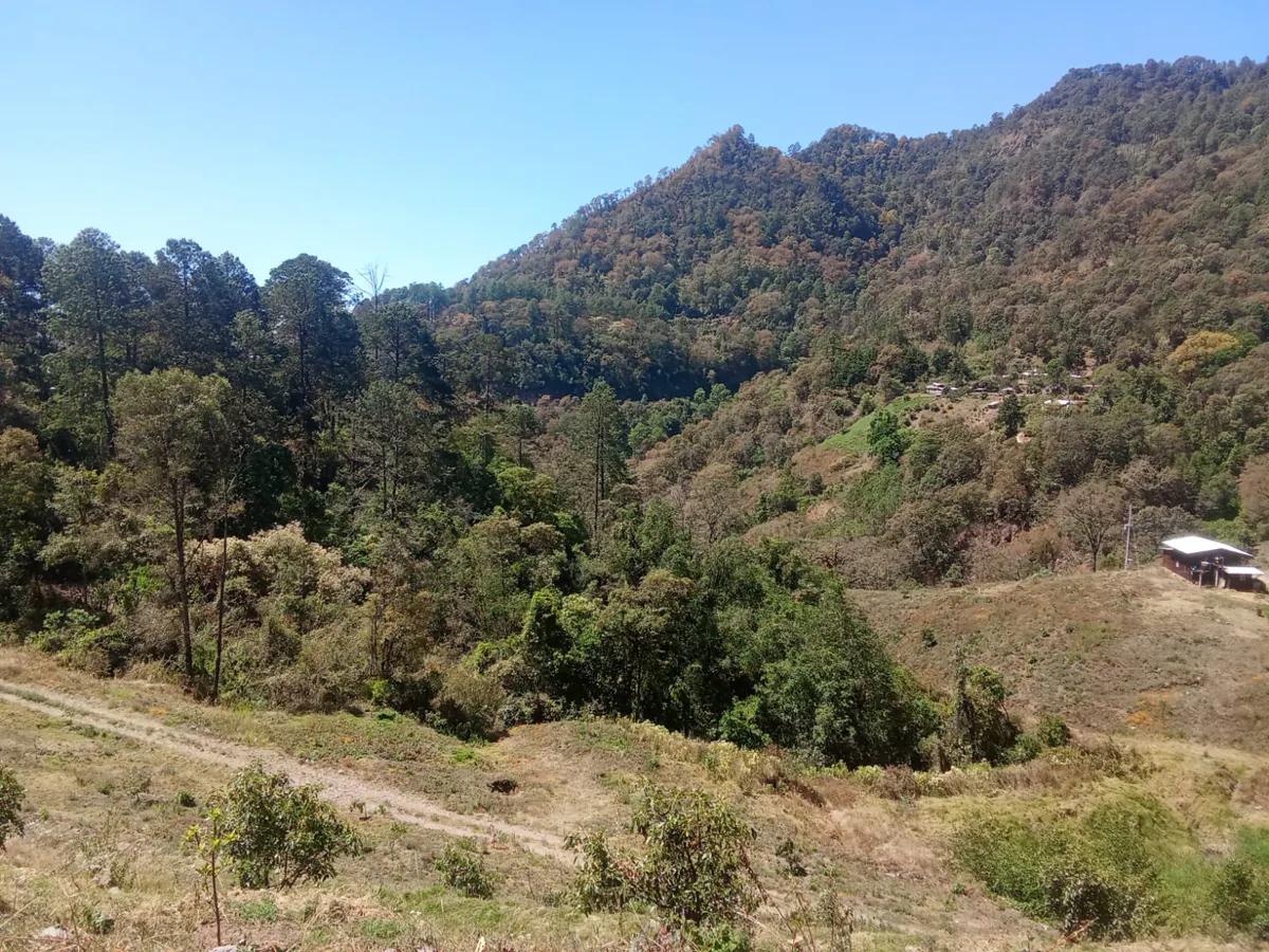 Terreno Spot2