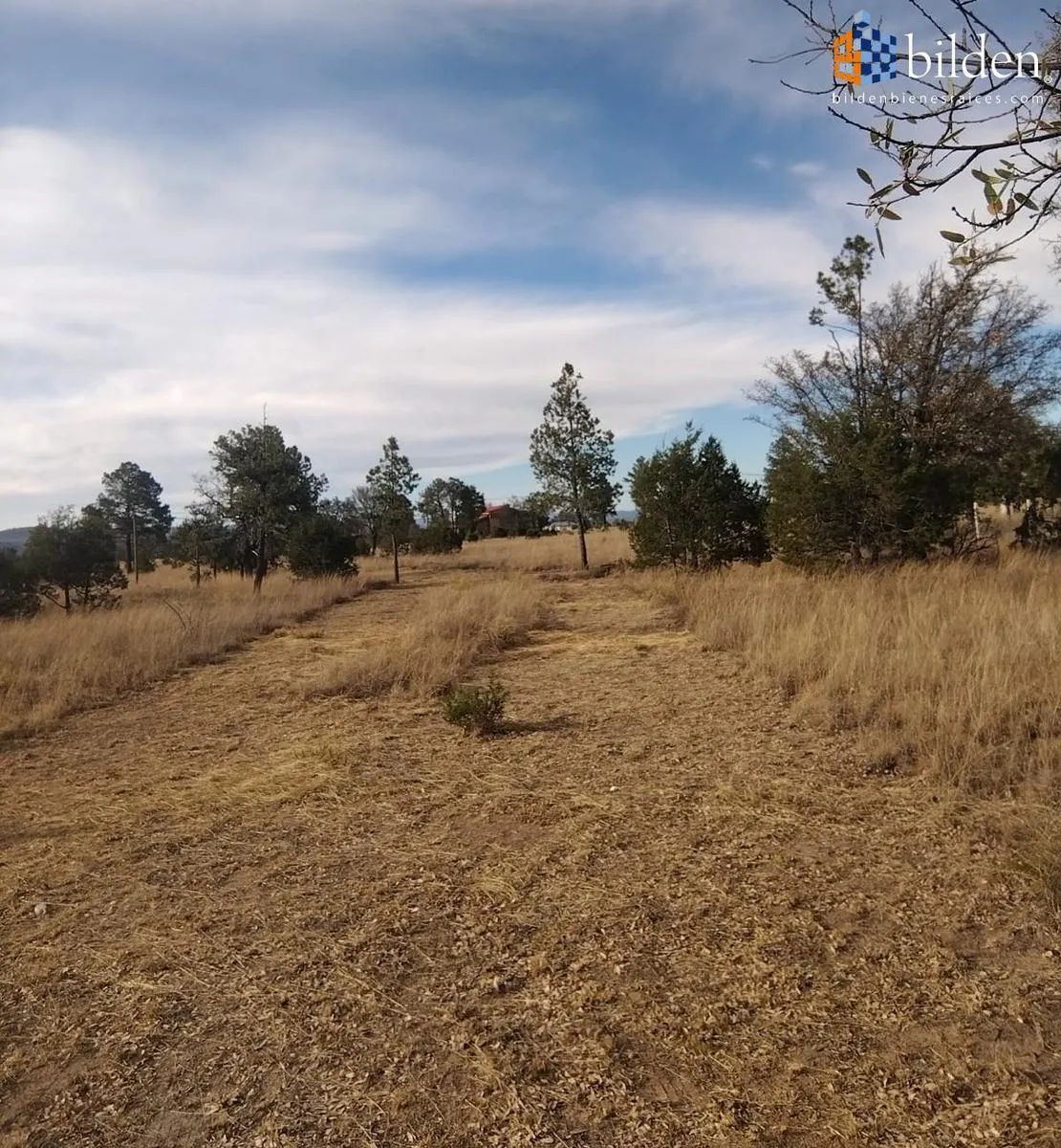 Terreno Spot2
