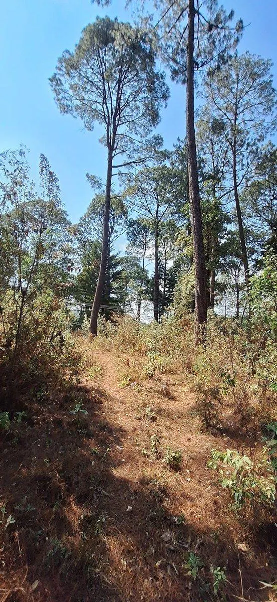Terreno Spot2