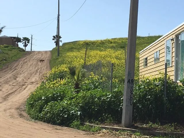 Terreno Spot2