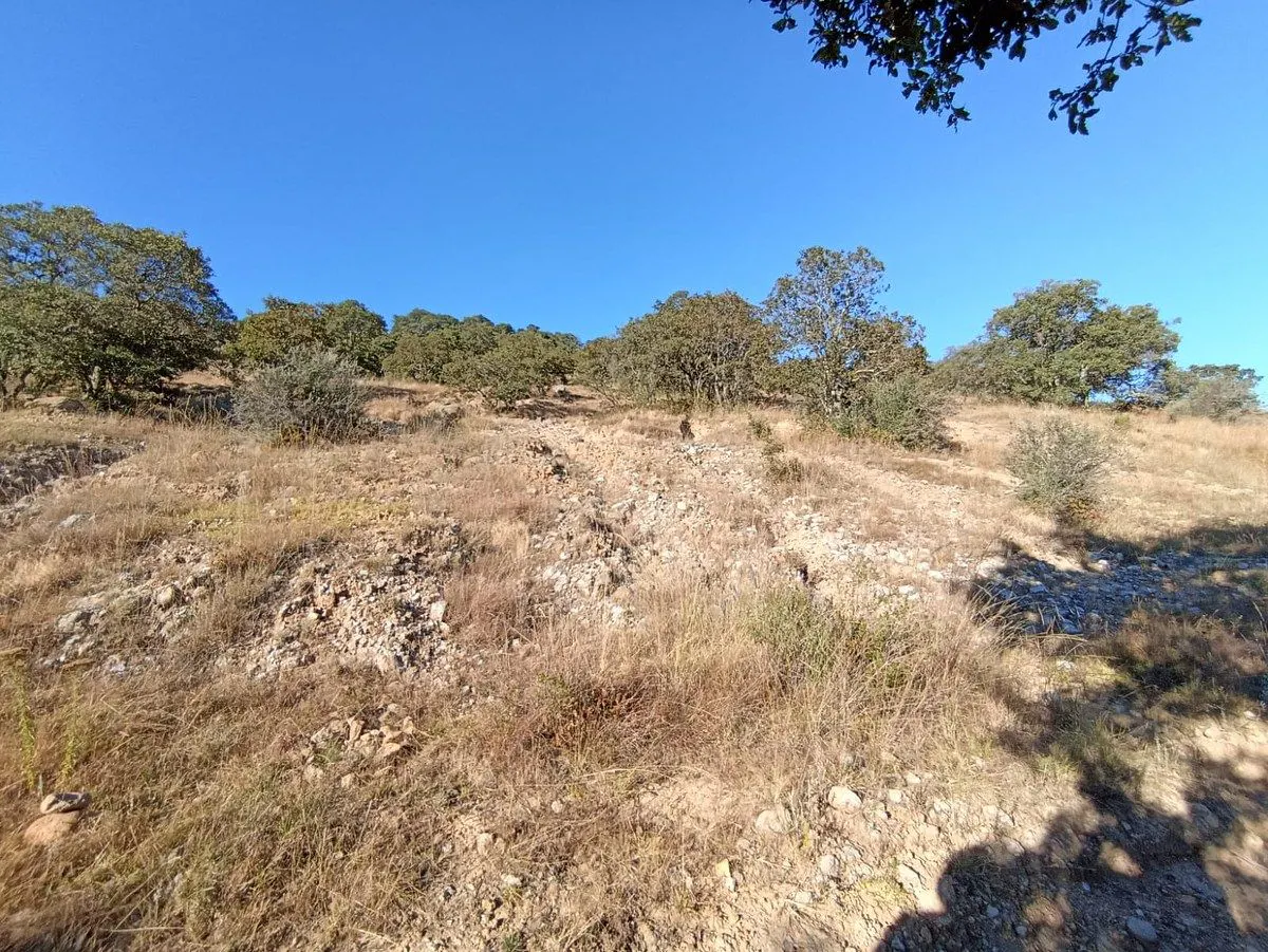 Terreno Spot2