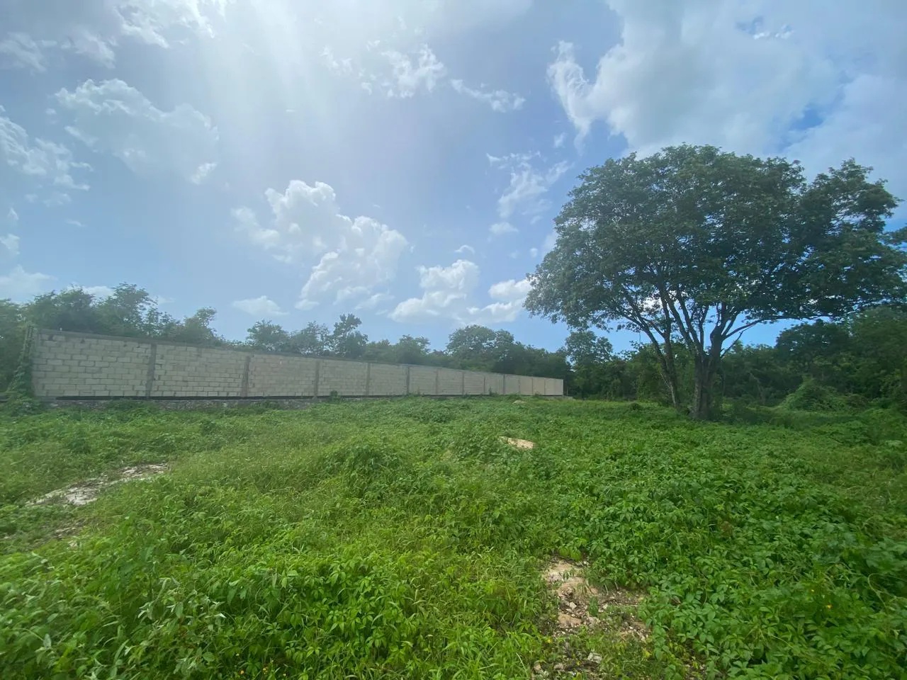 Terreno Spot2