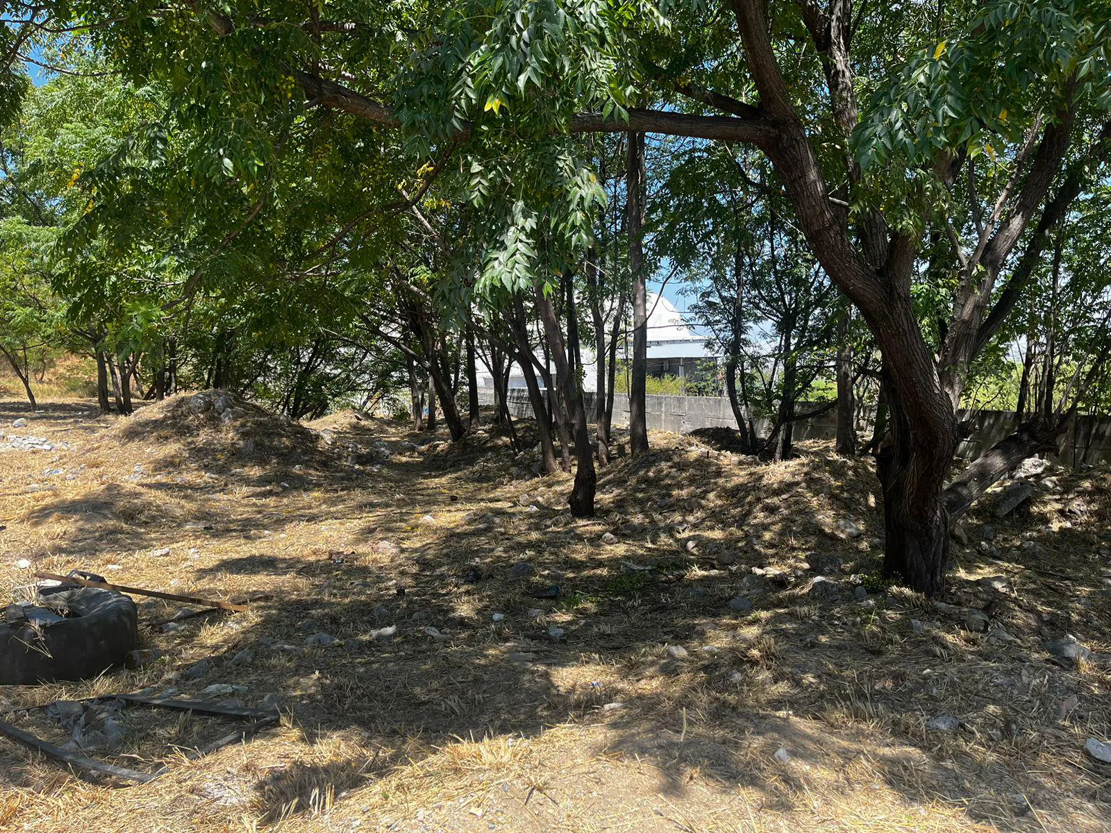 Terreno Spot2