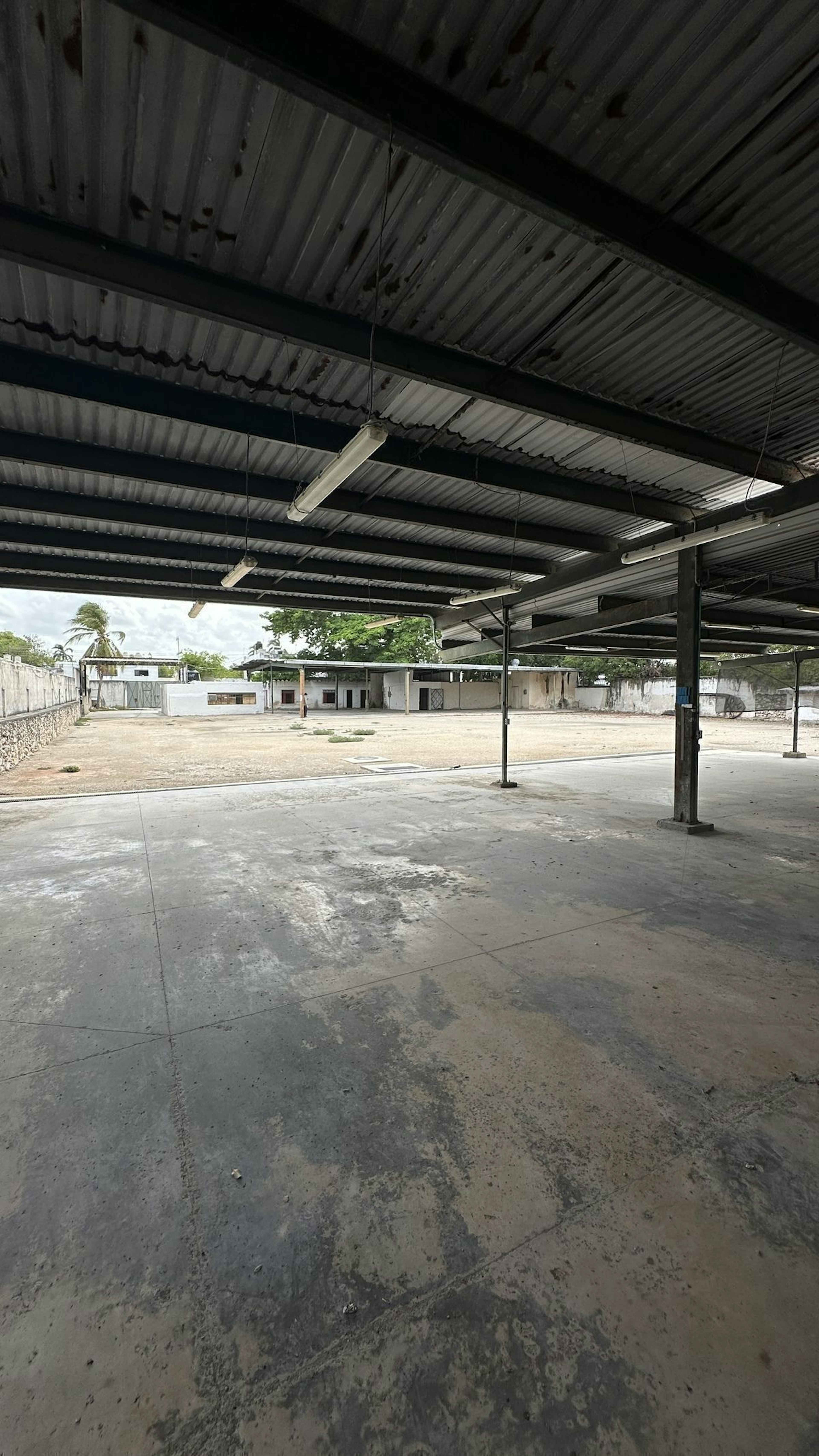 Carretera Mérida - Progreso