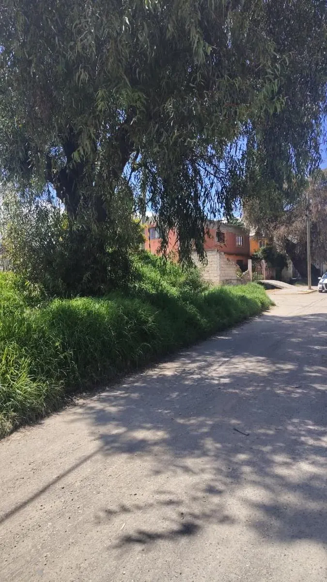 Terreno Spot2
