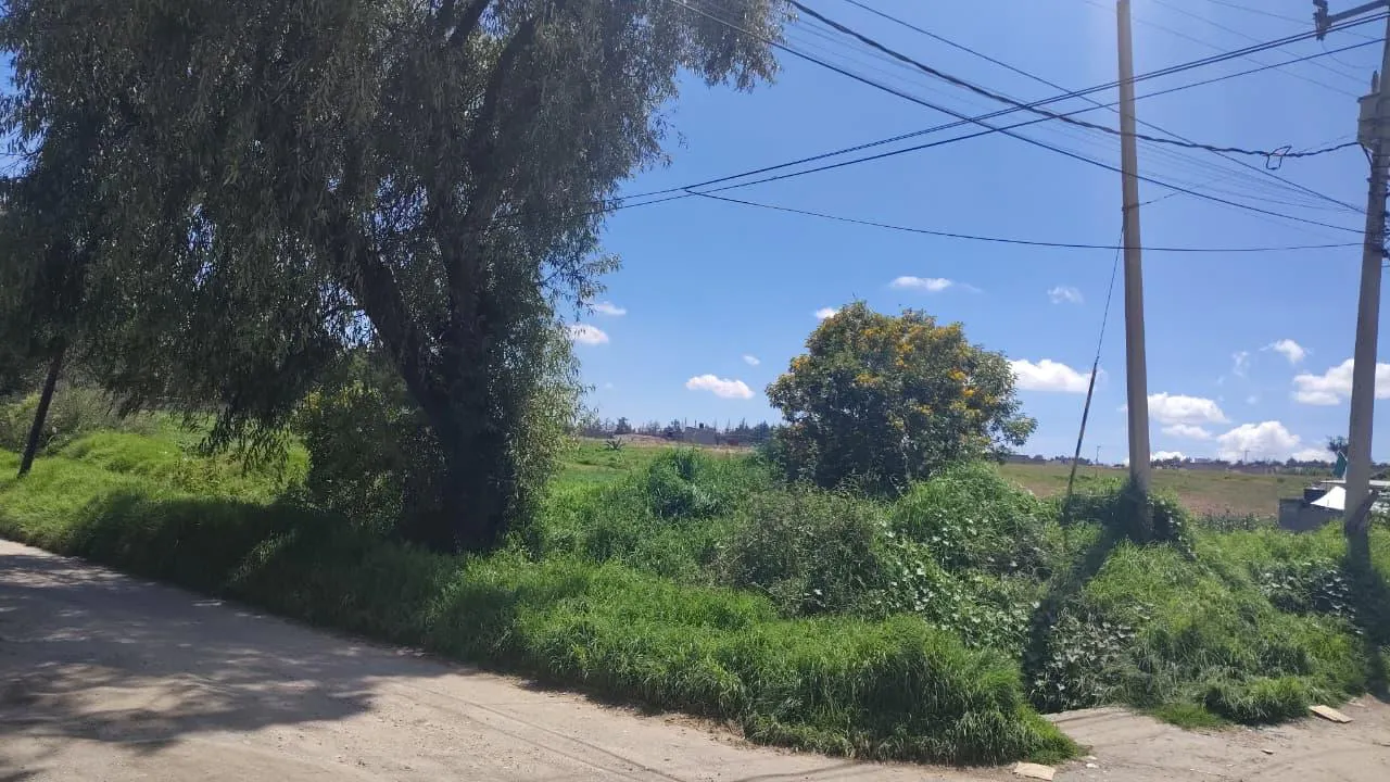 Terreno Spot2