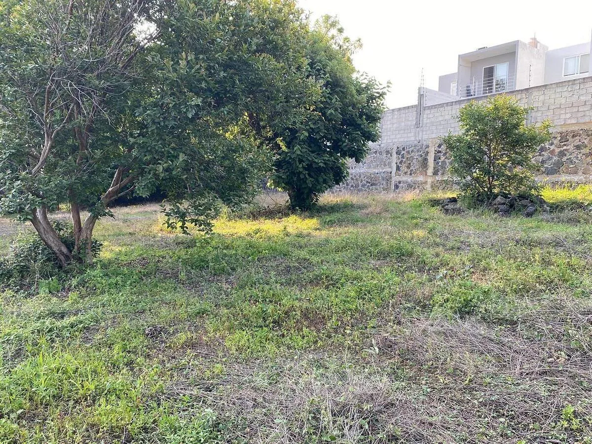 Terreno Spot2