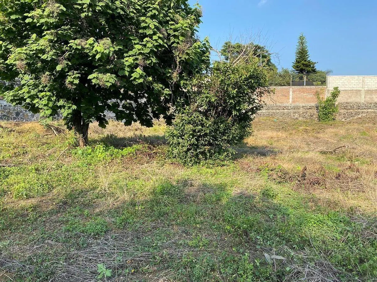 Terreno Spot2