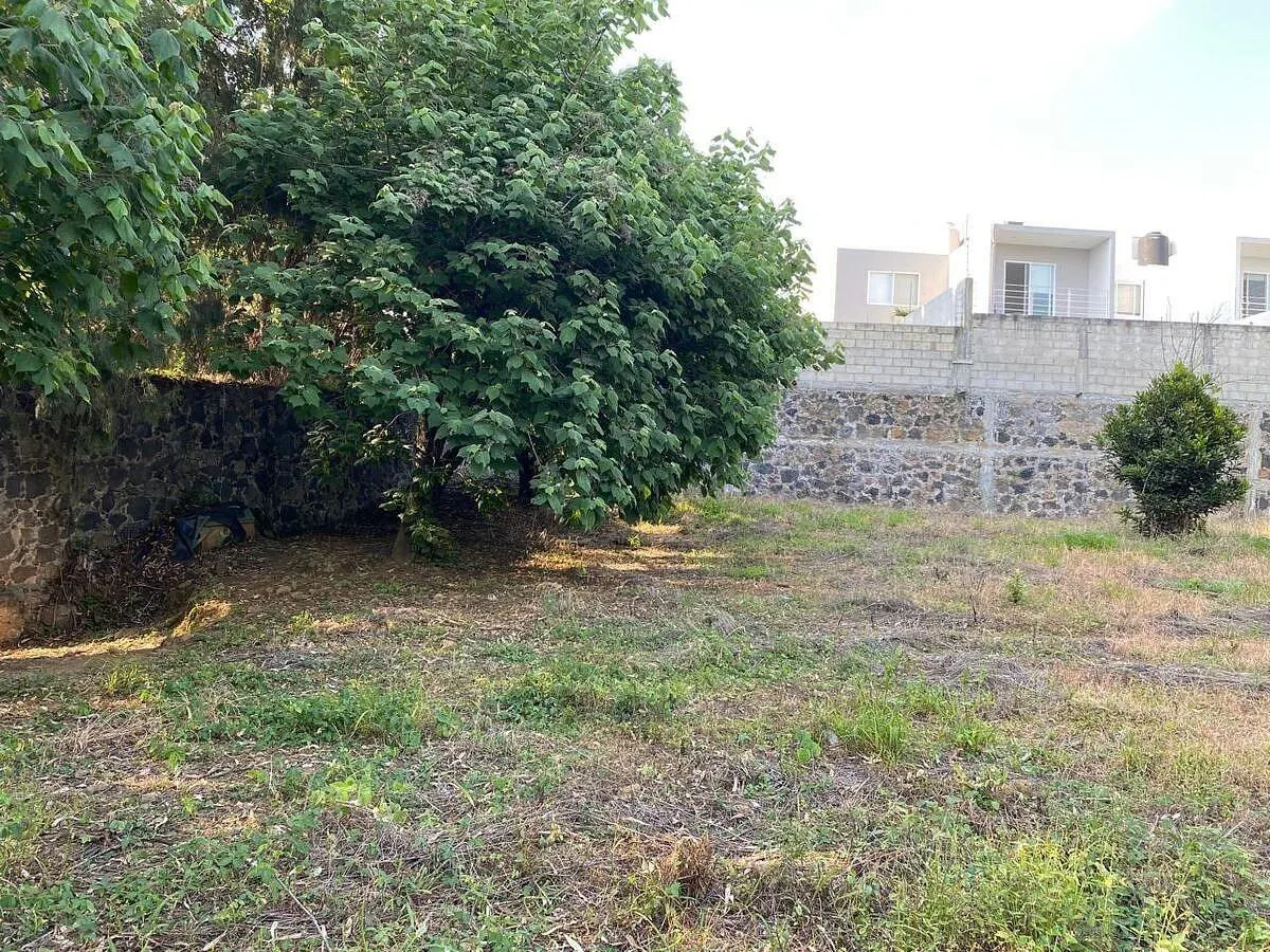 Terreno Spot2