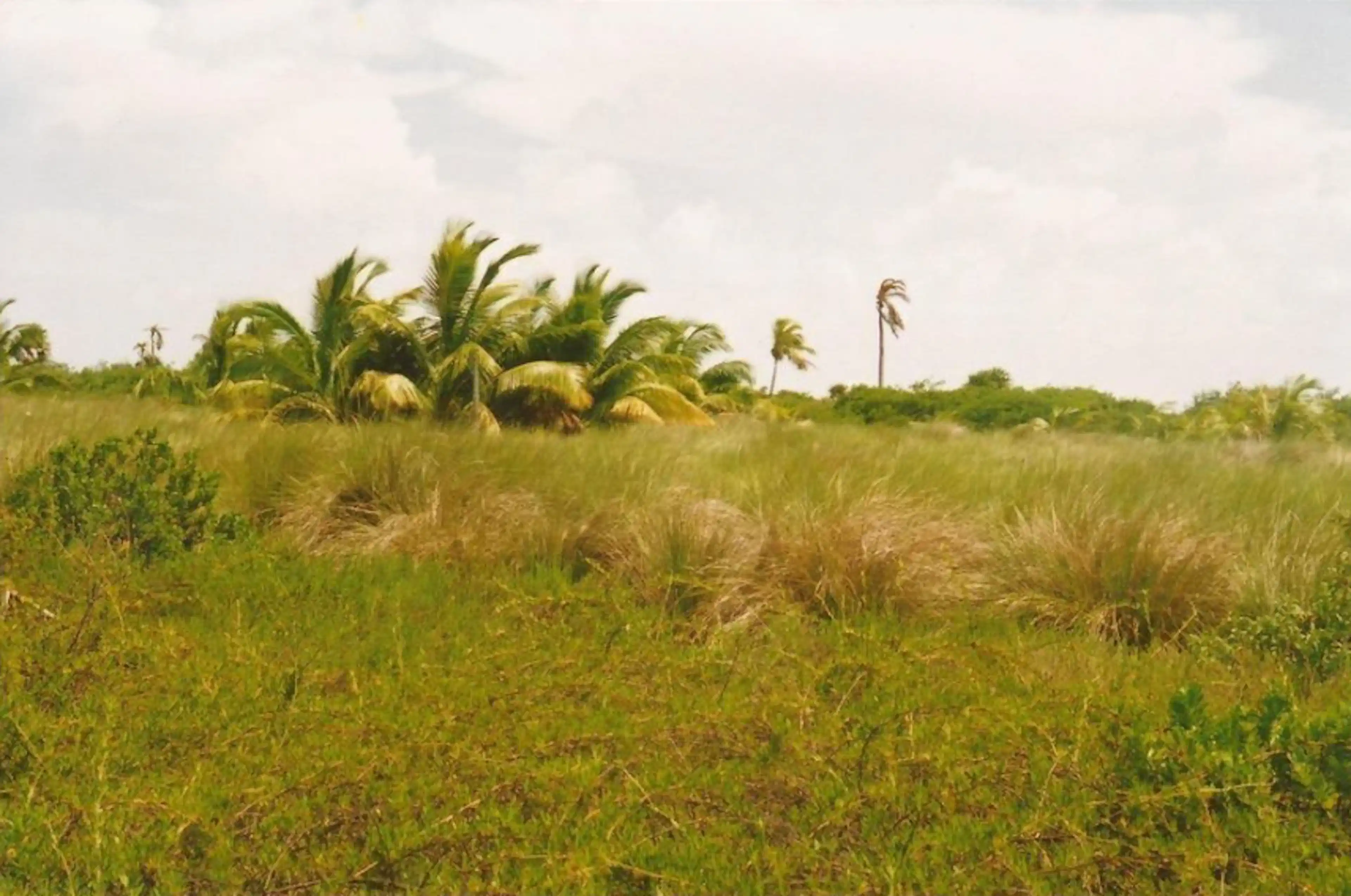Isla Cayo Culebra