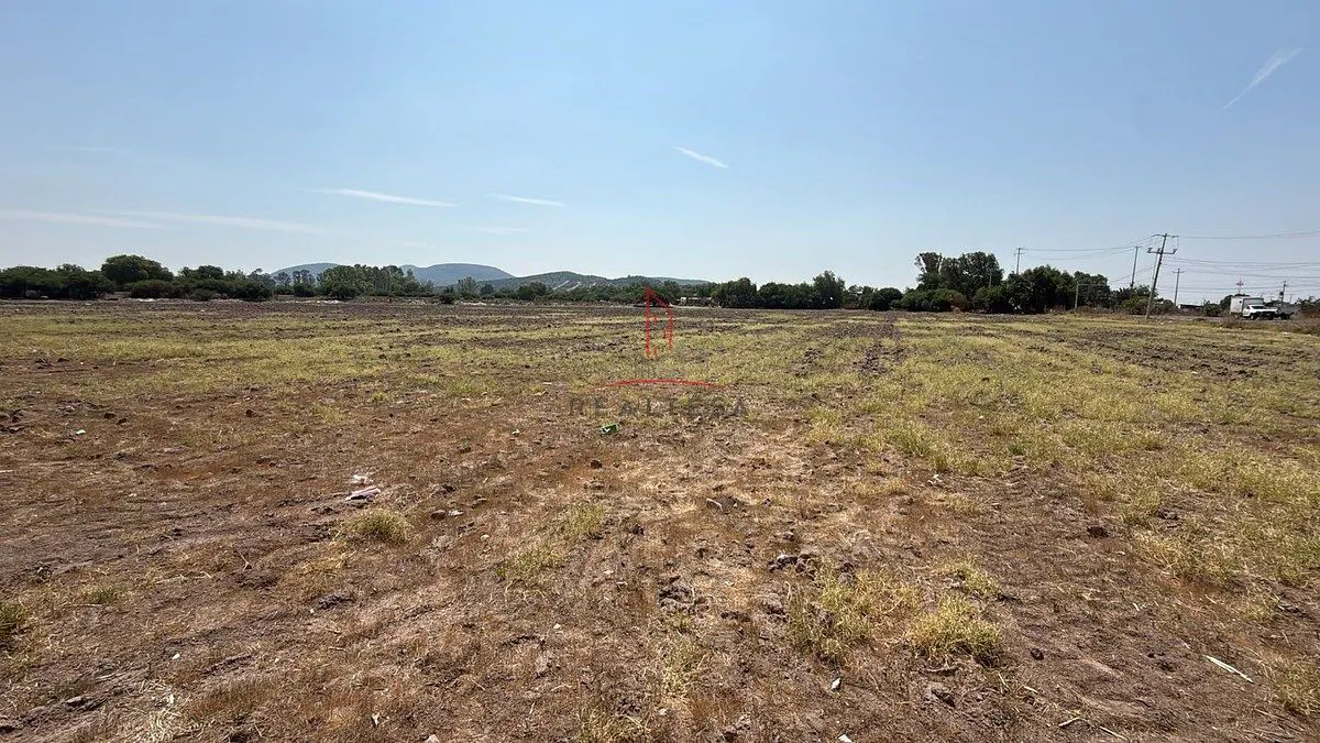 Terreno Spot2