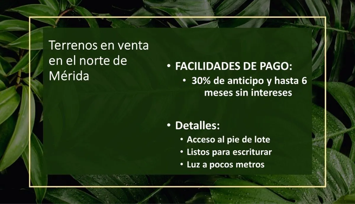 Terreno Spot2