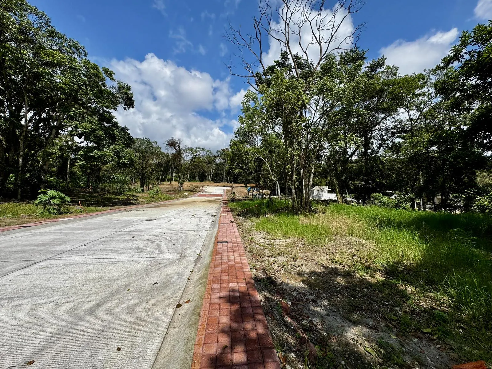 Terreno Spot2