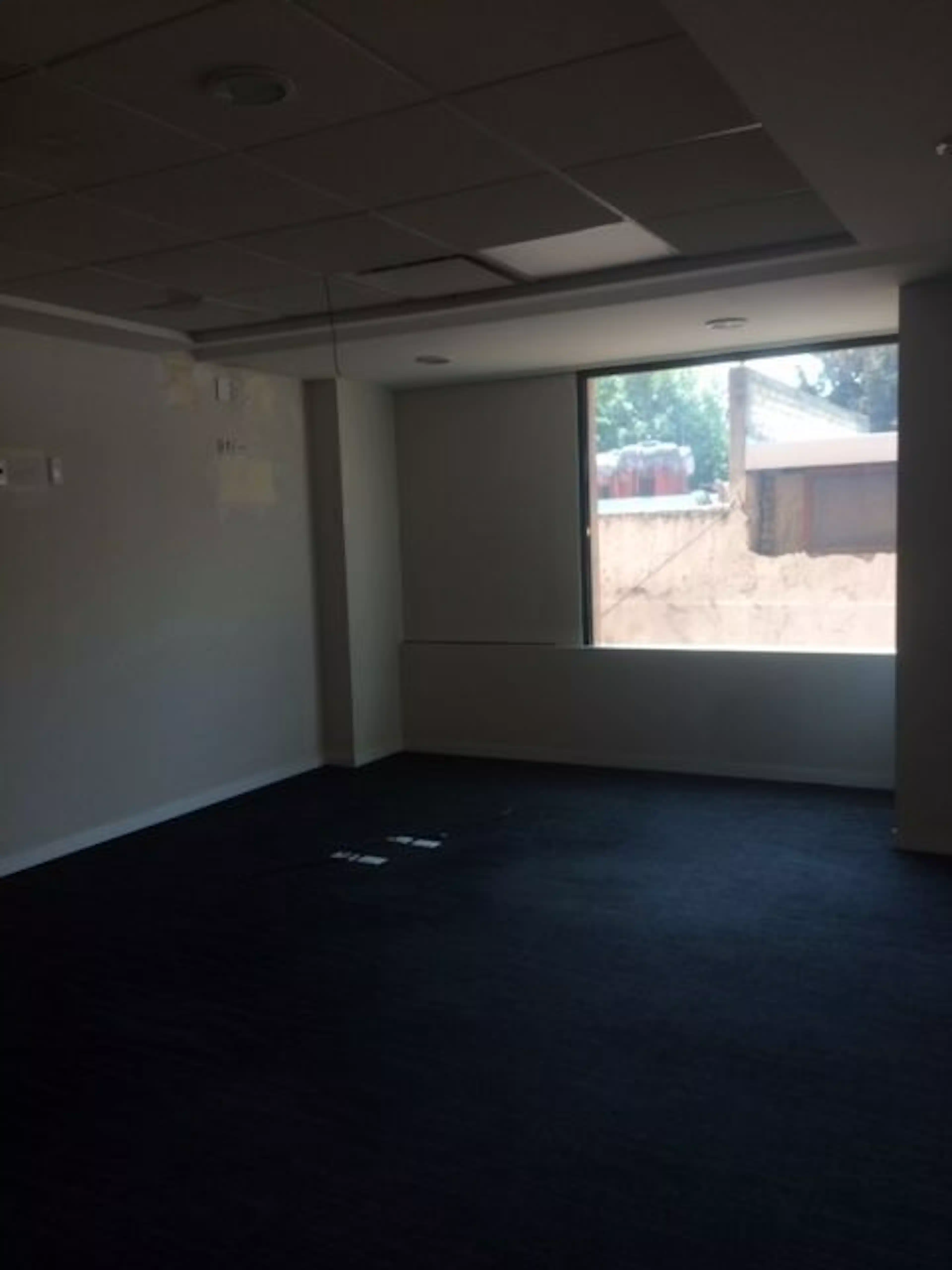 Avenida Paseo De Las Palmas