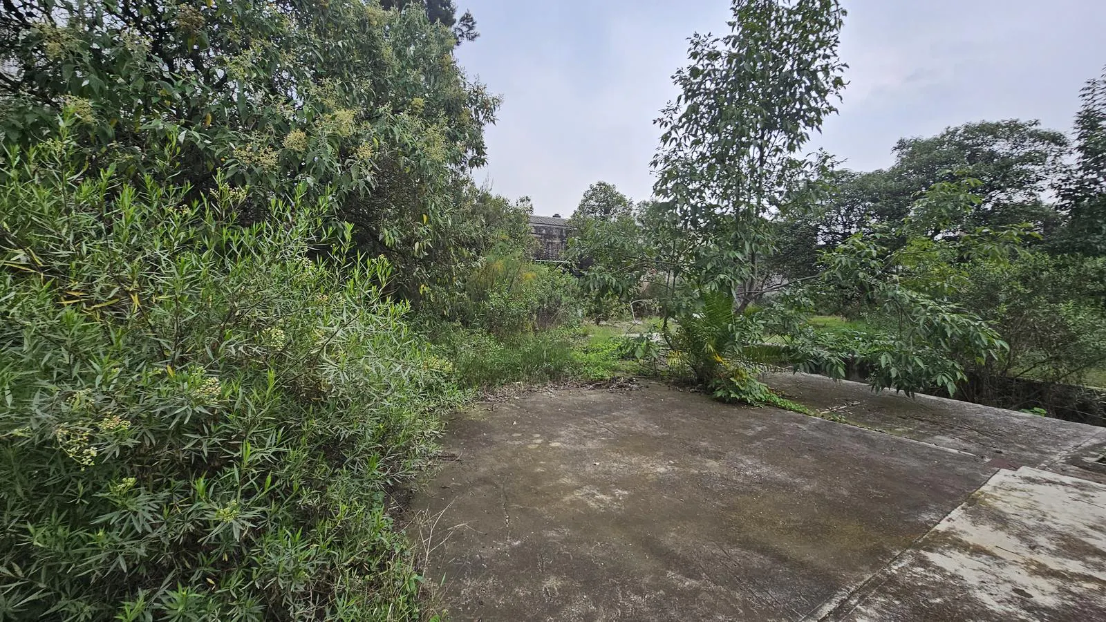 Terreno Spot2