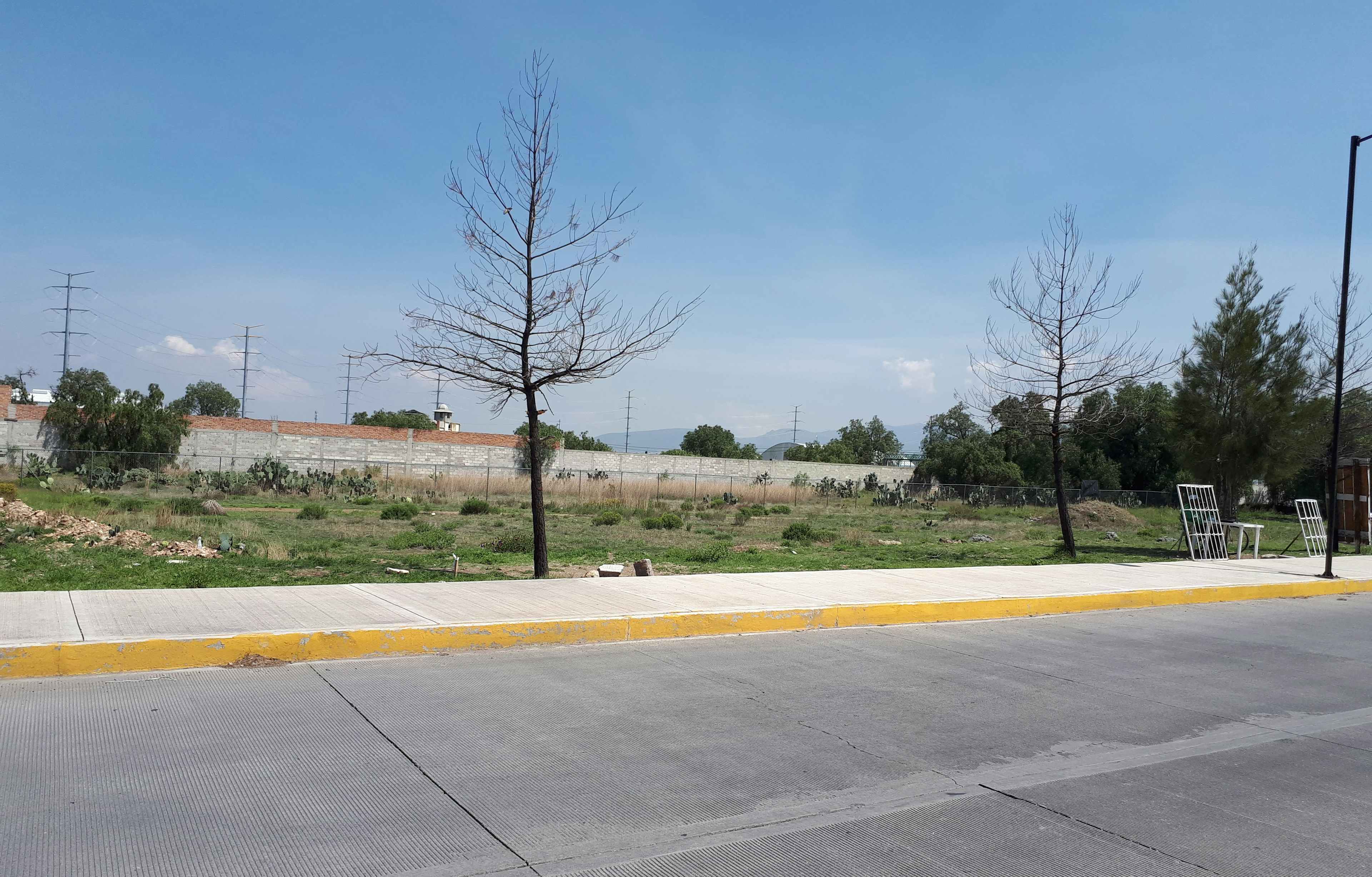 Mineral De La Reforma