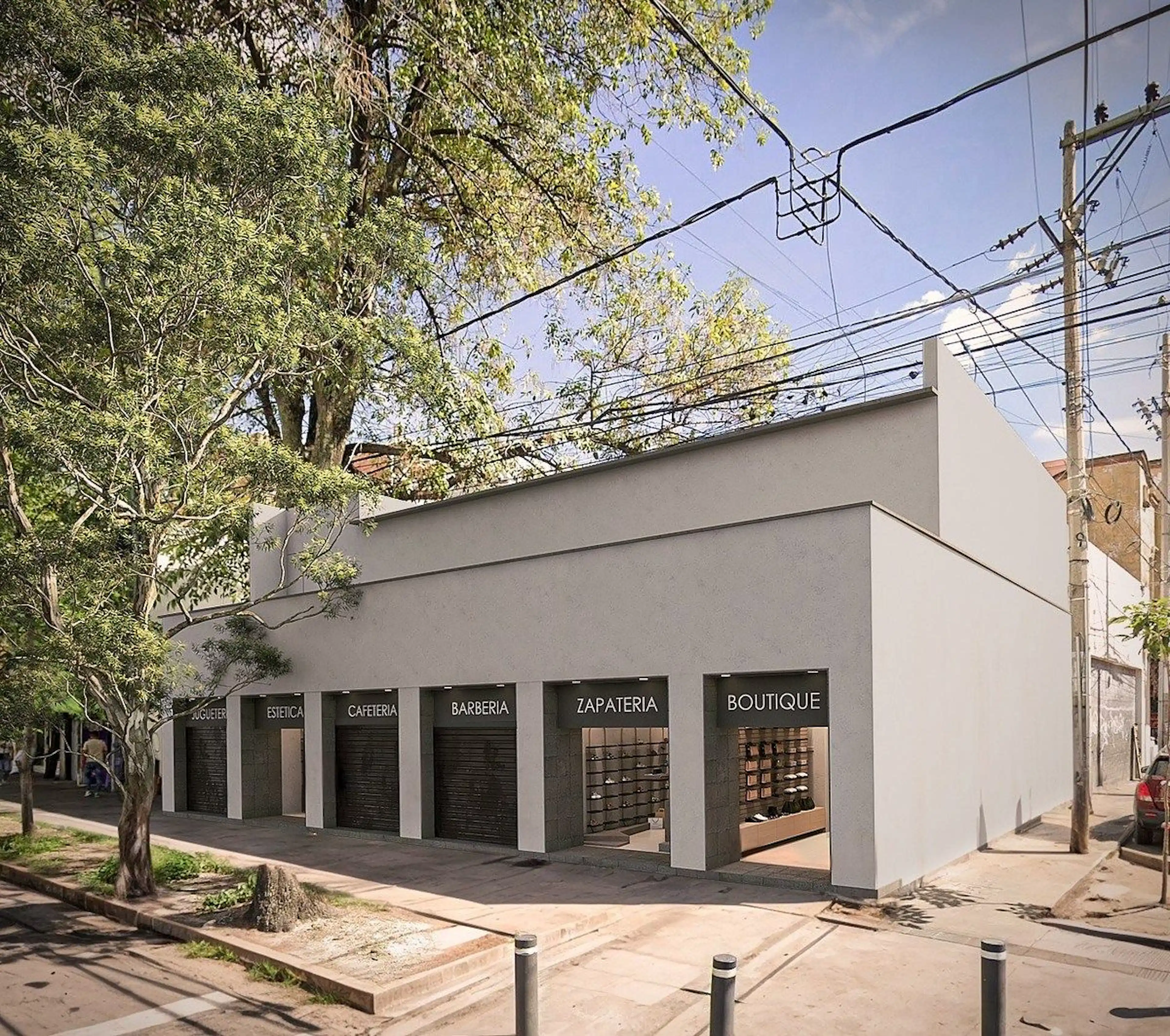 Avenida Francisco Javier Mina