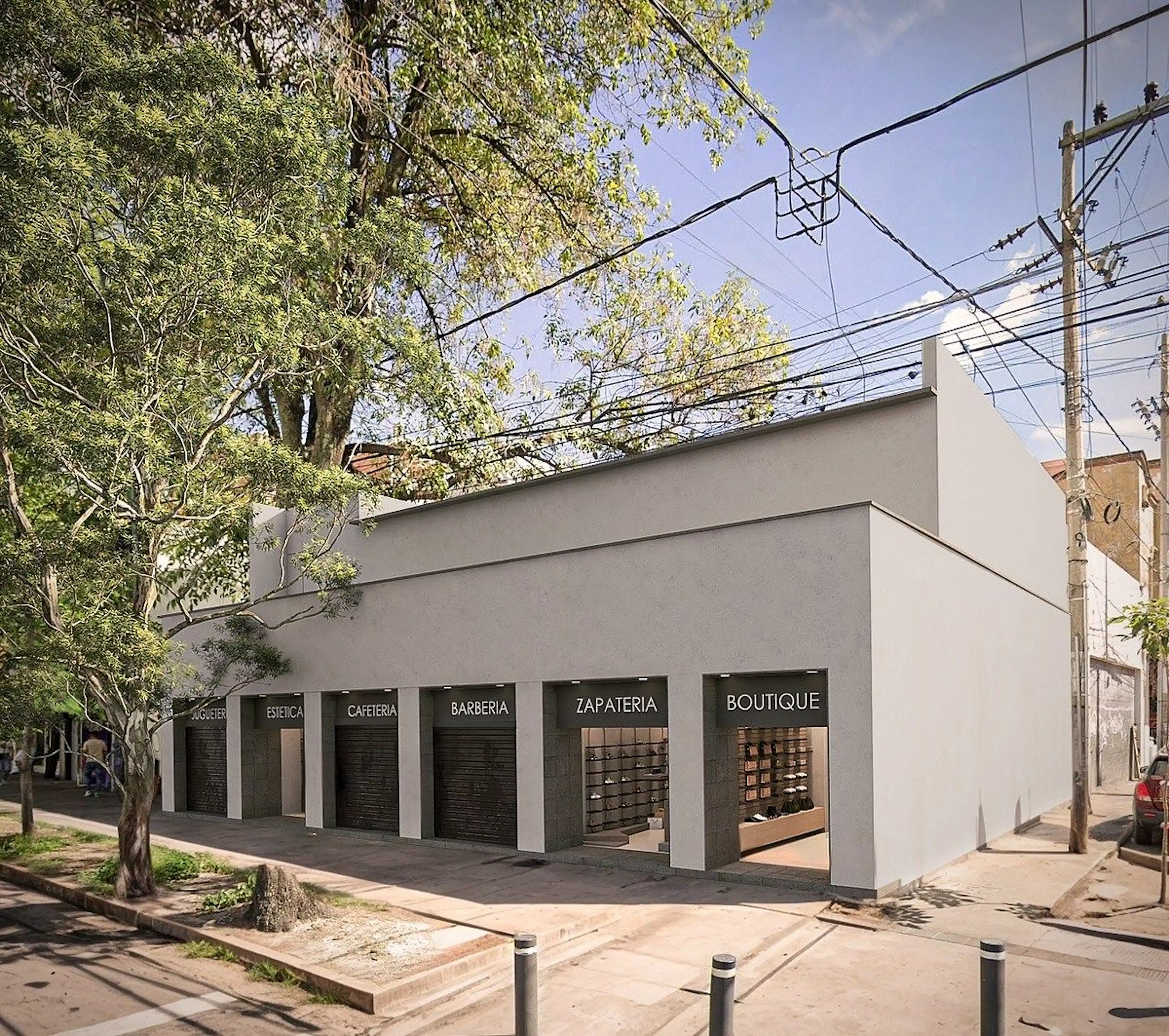 Avenida Francisco Javier Mina