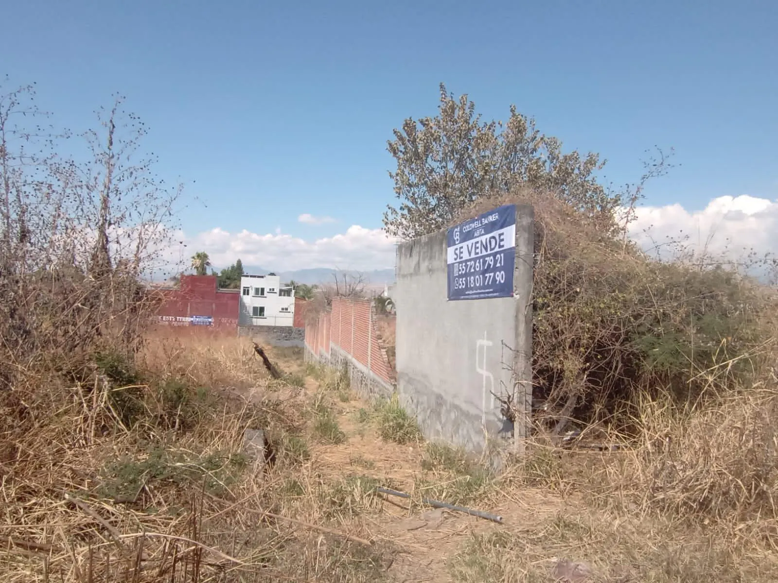 Terreno Spot2