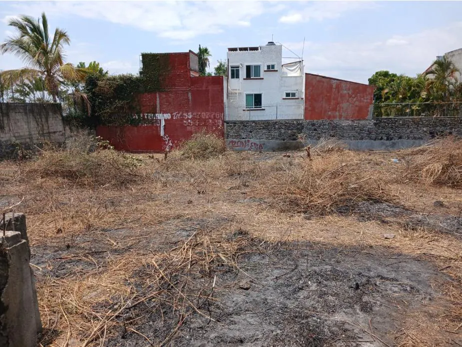 Terreno Spot2