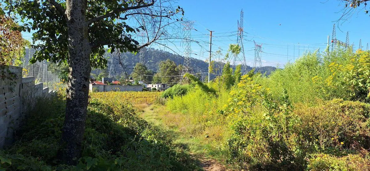 Terreno Spot2