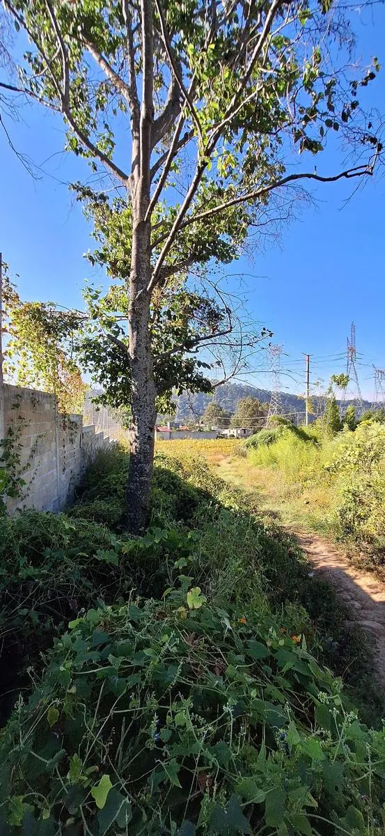 Terreno Spot2