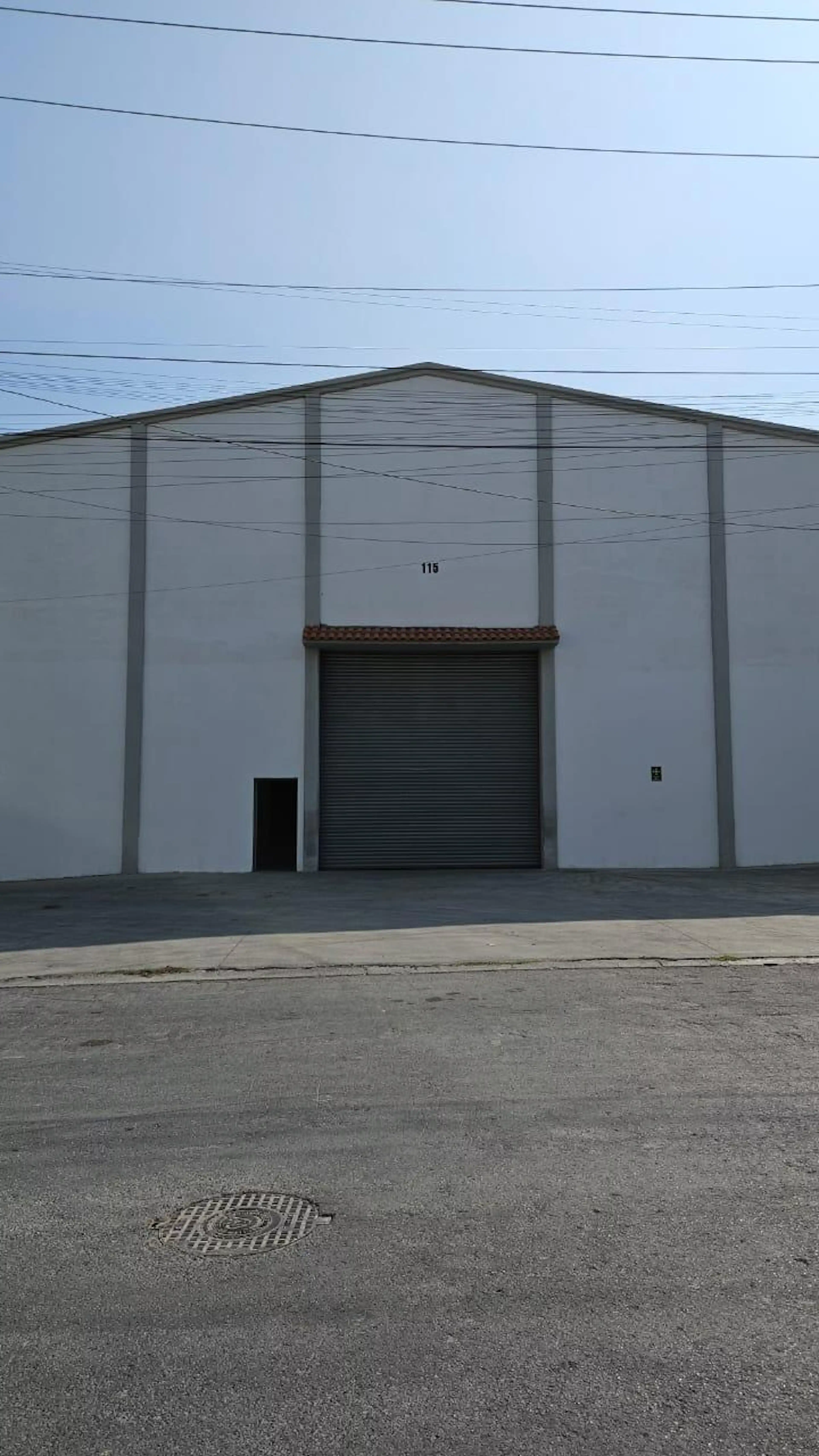 Viñedo Portugues 302