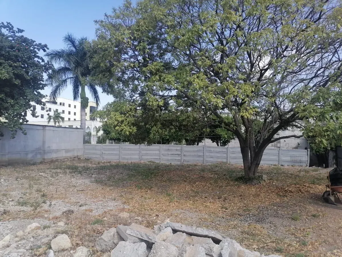 Terreno Spot2