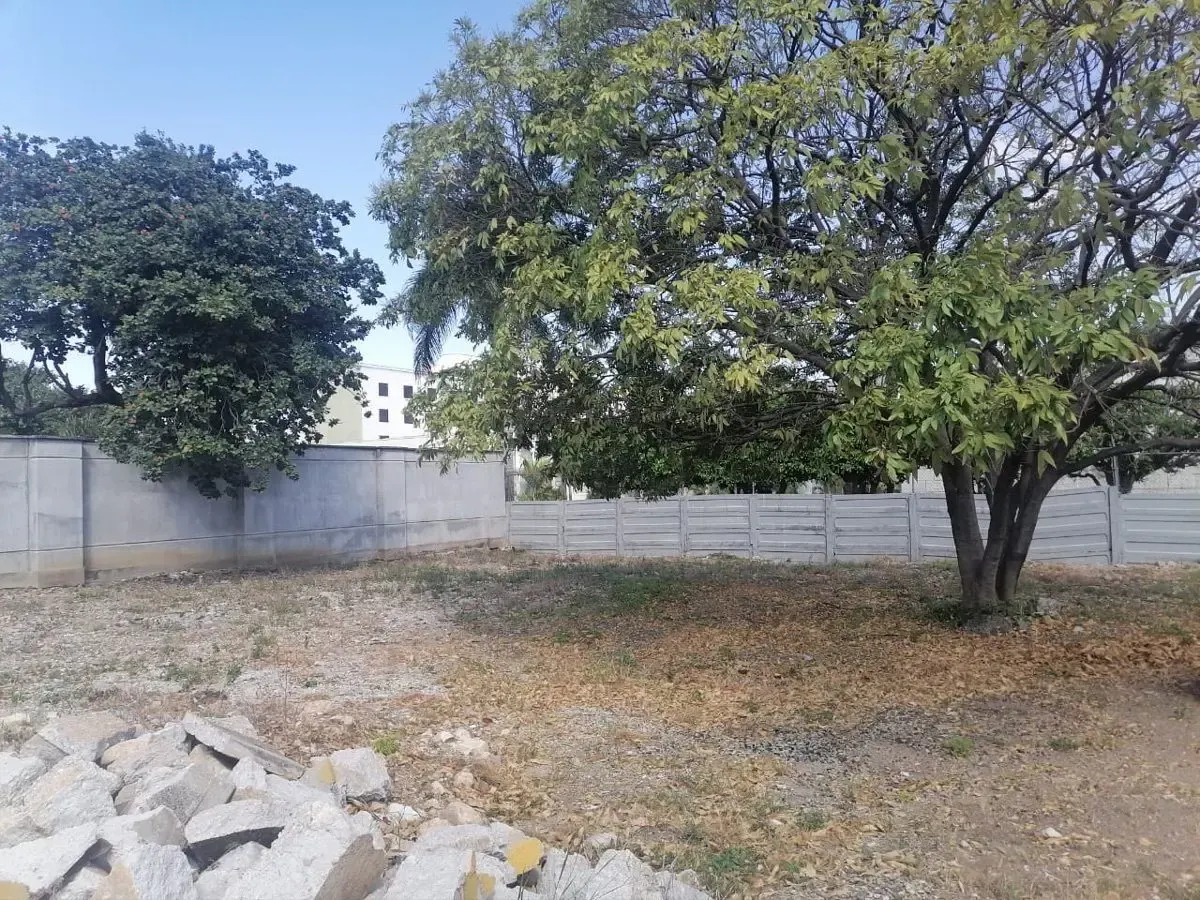 Terreno Spot2