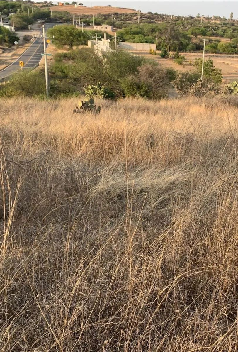 Terreno Spot2