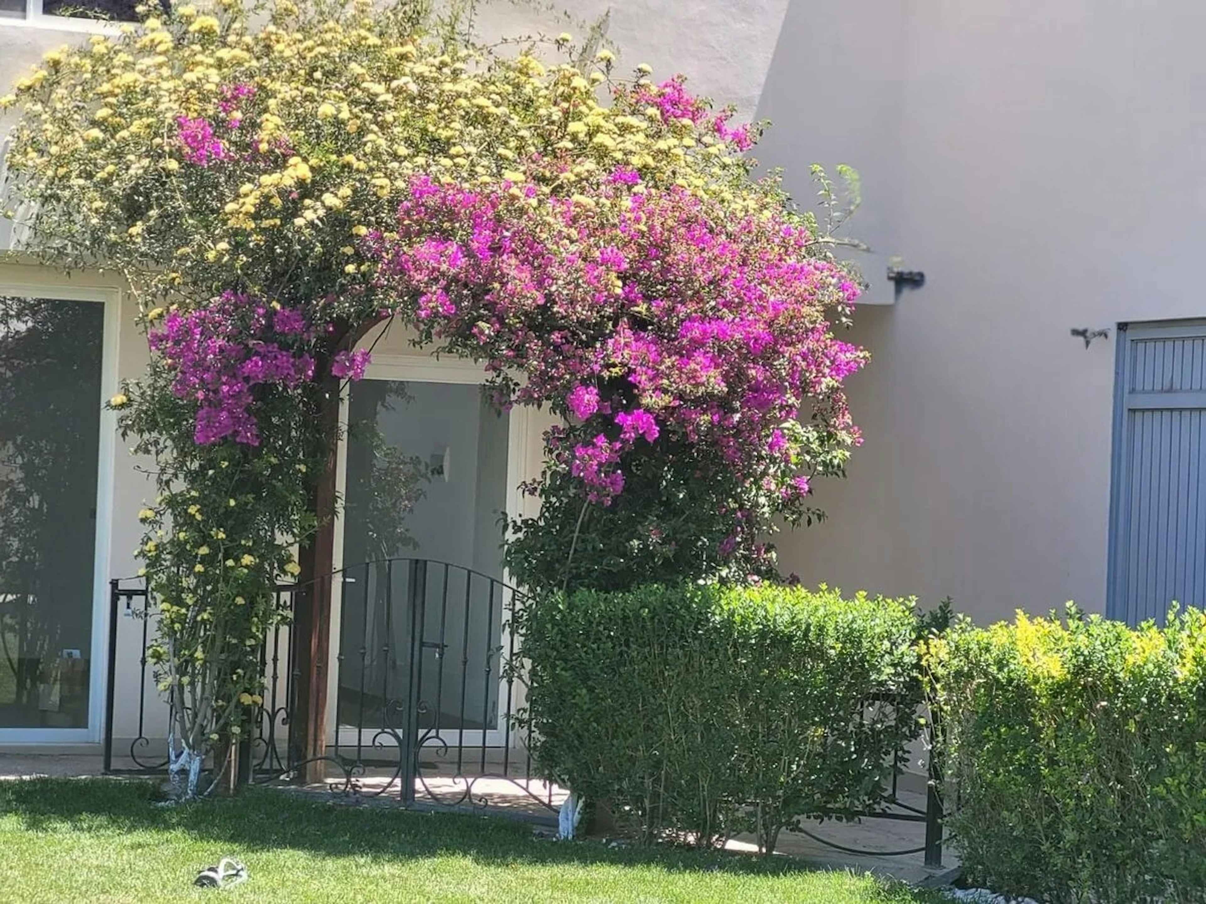 Prof. Gabino Ruteaga