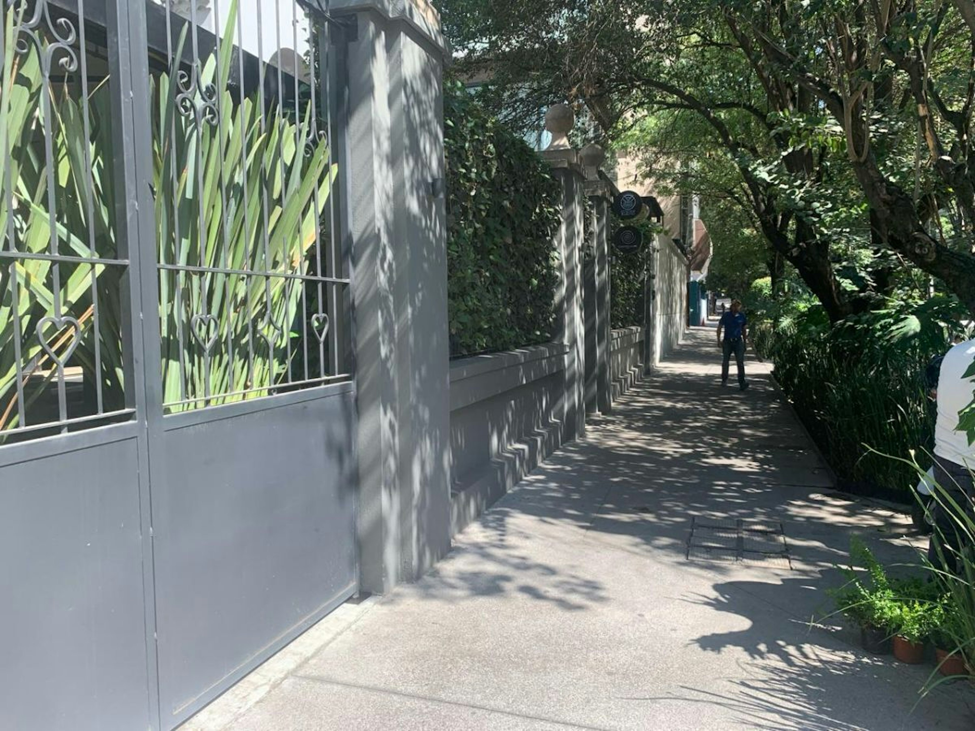 Spot image 0