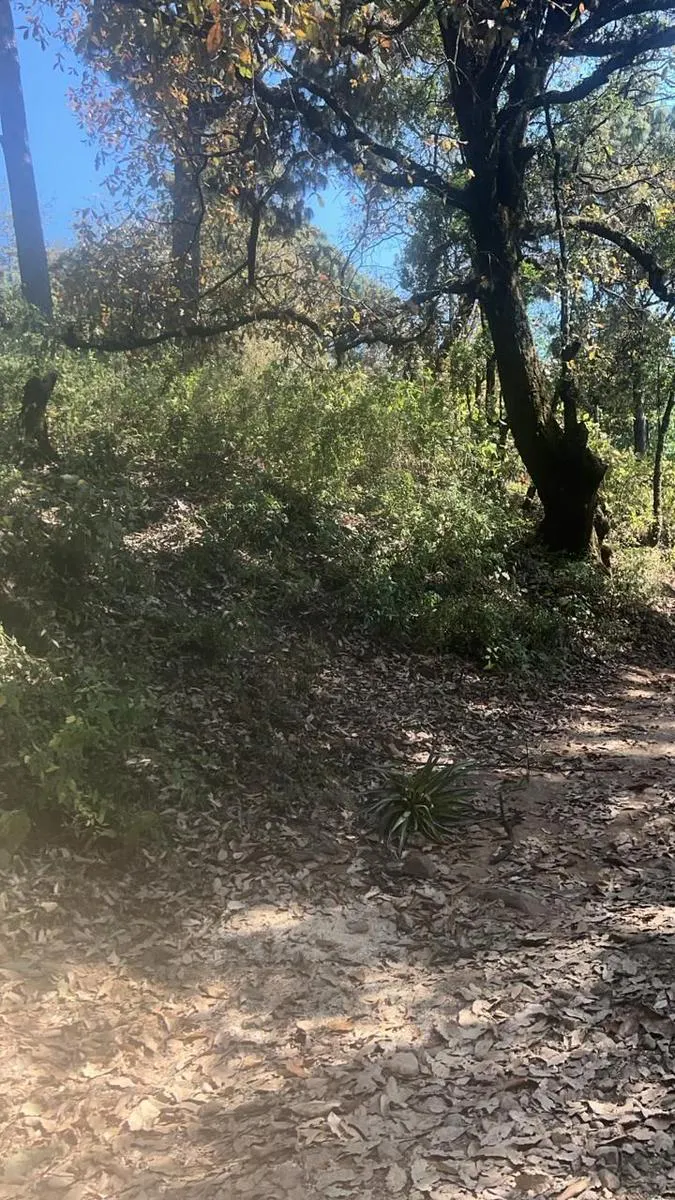 Terreno Spot2