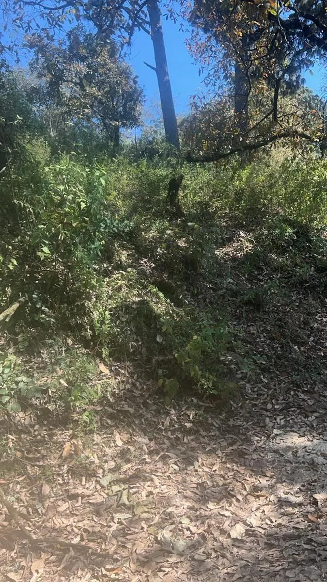Terreno Spot2