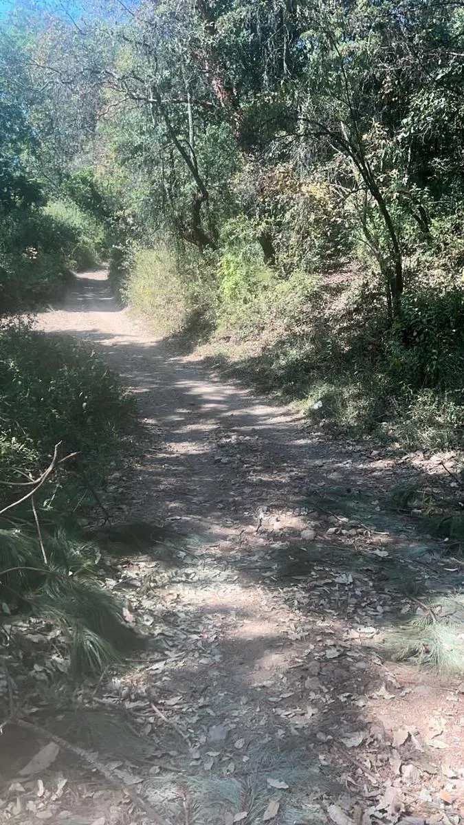 Terreno Spot2
