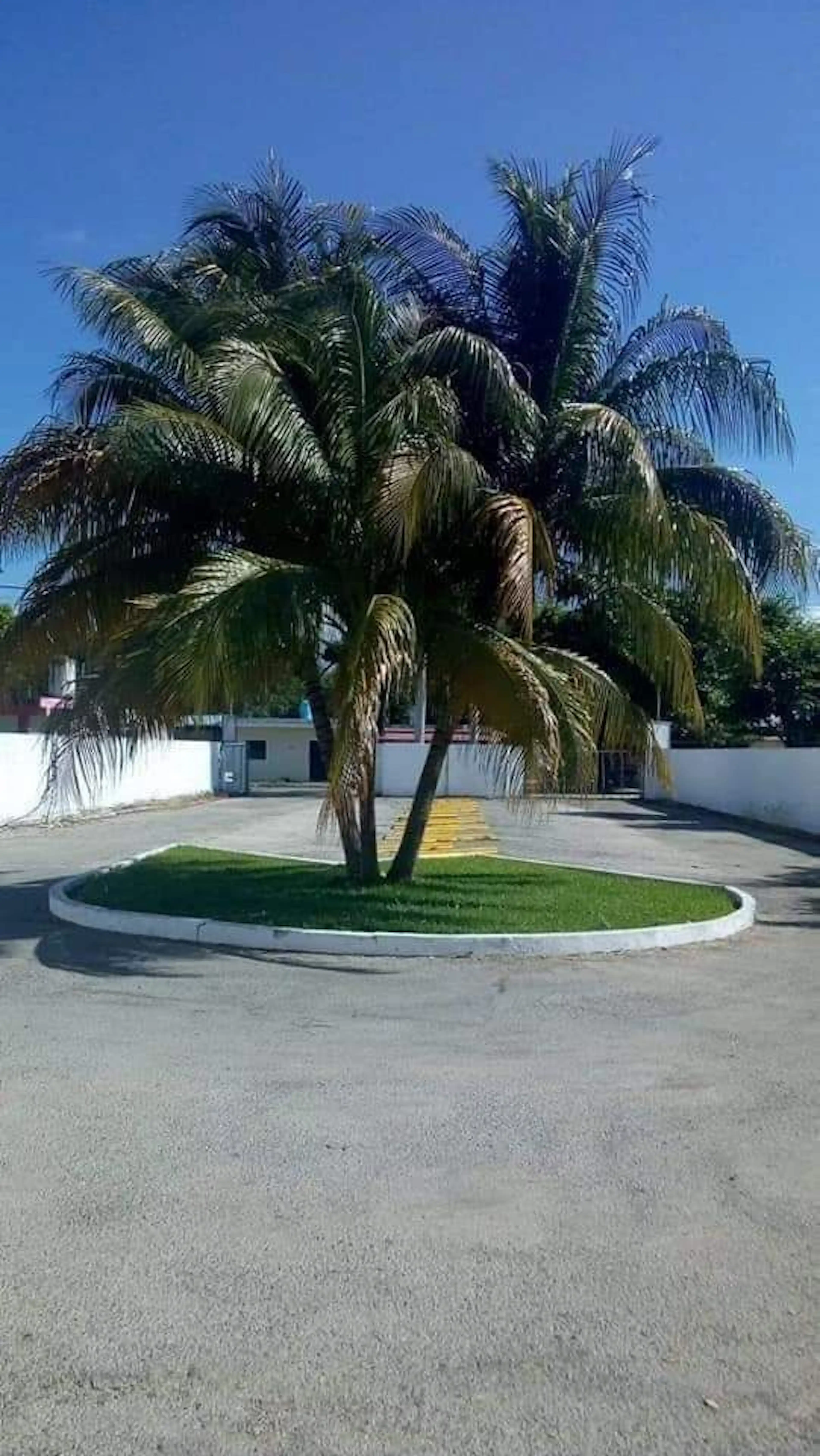 NAVE 780 M2; TERRENO 2,780 M2. CHUBURNA