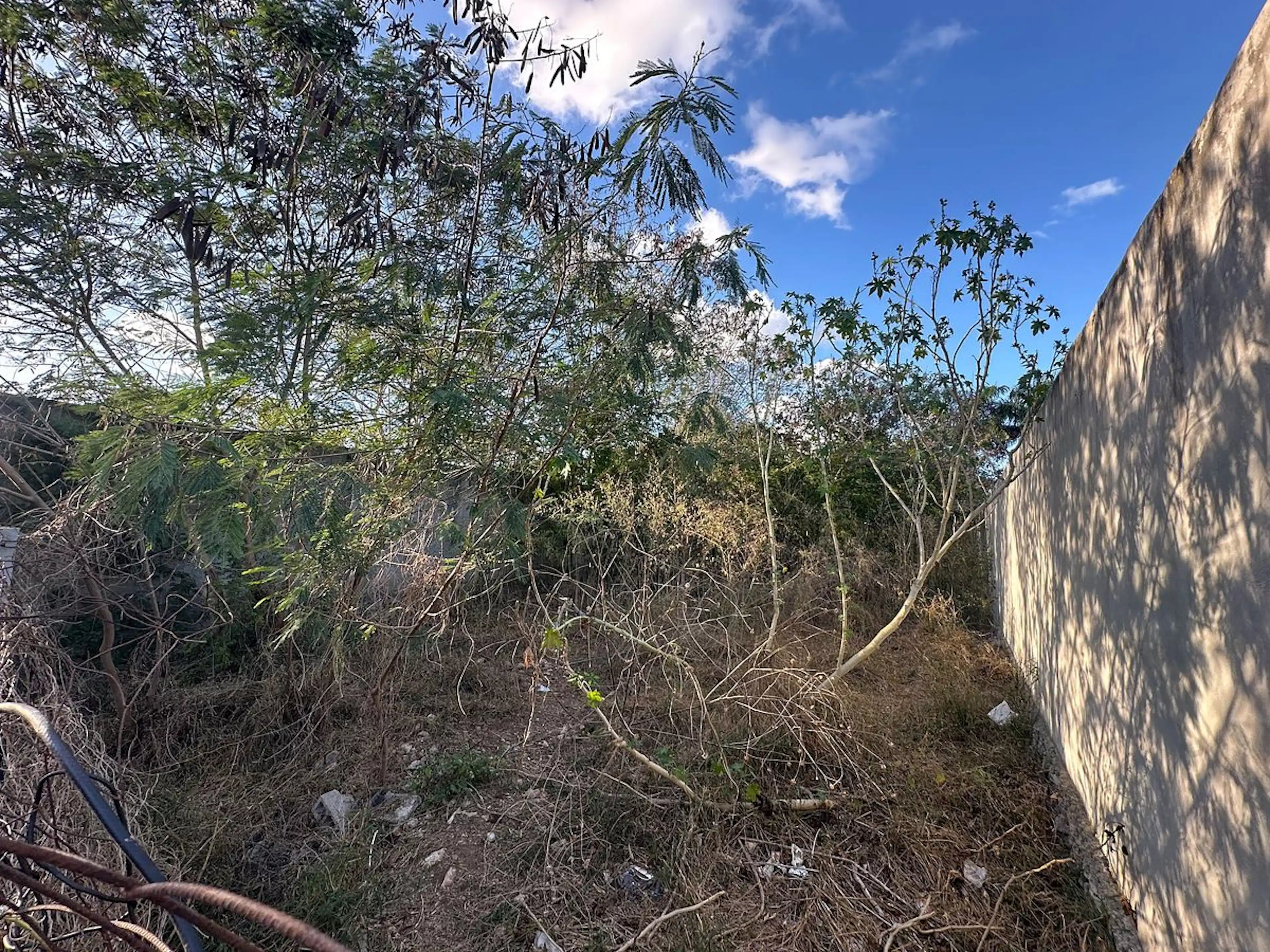 Terreno En Merida, Chichi Suarez