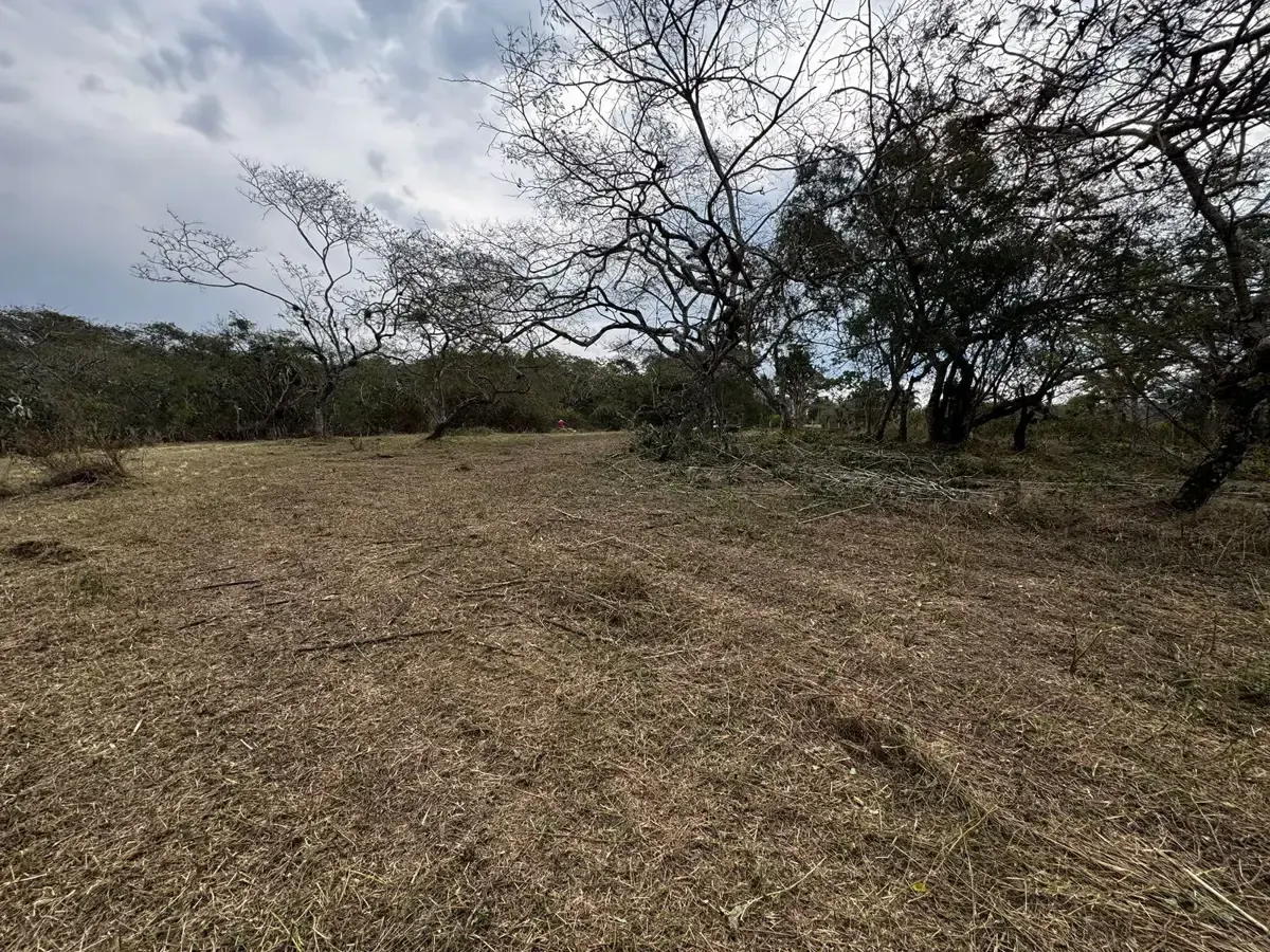 Terreno Spot2
