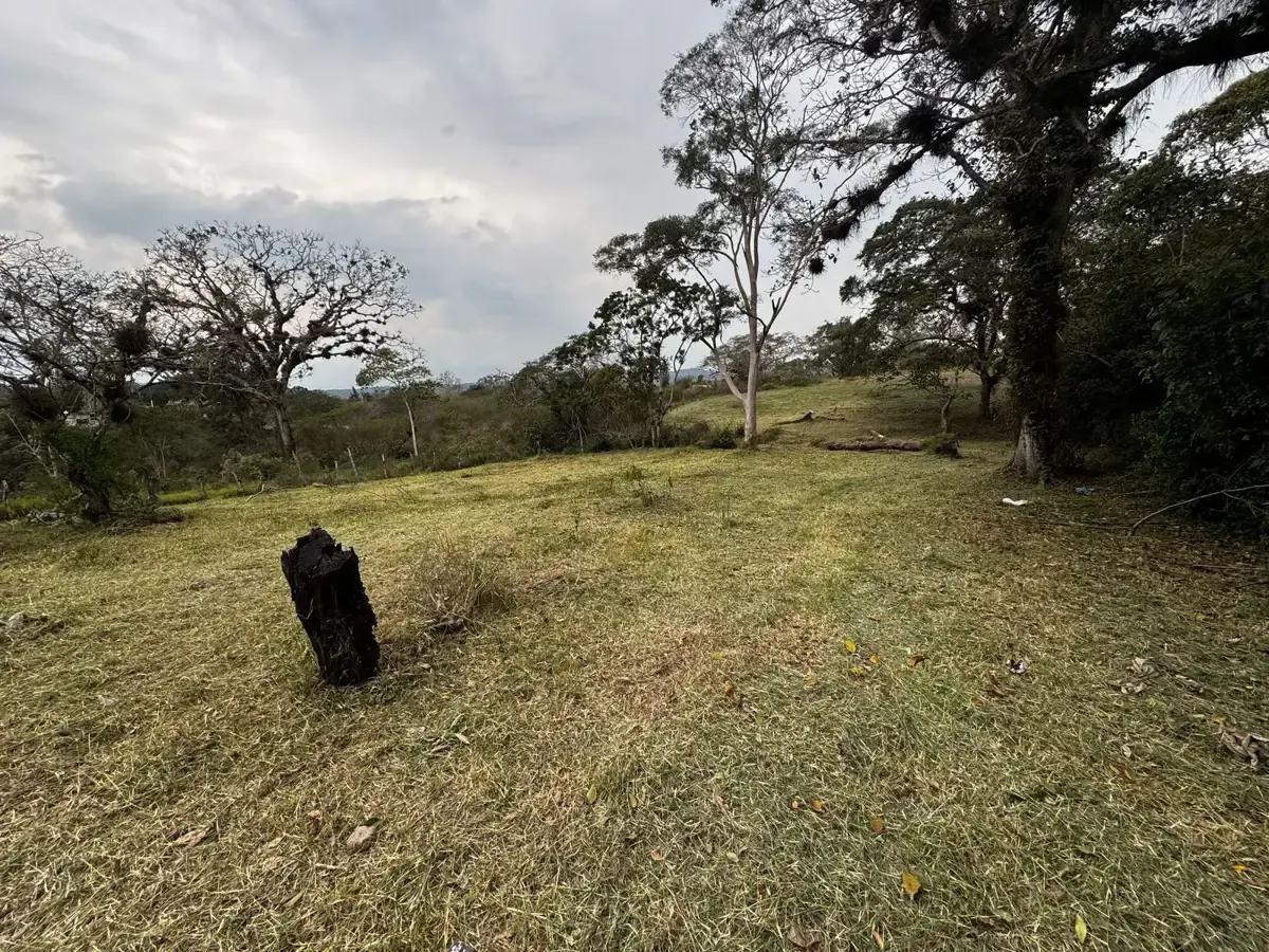 Terreno Spot2