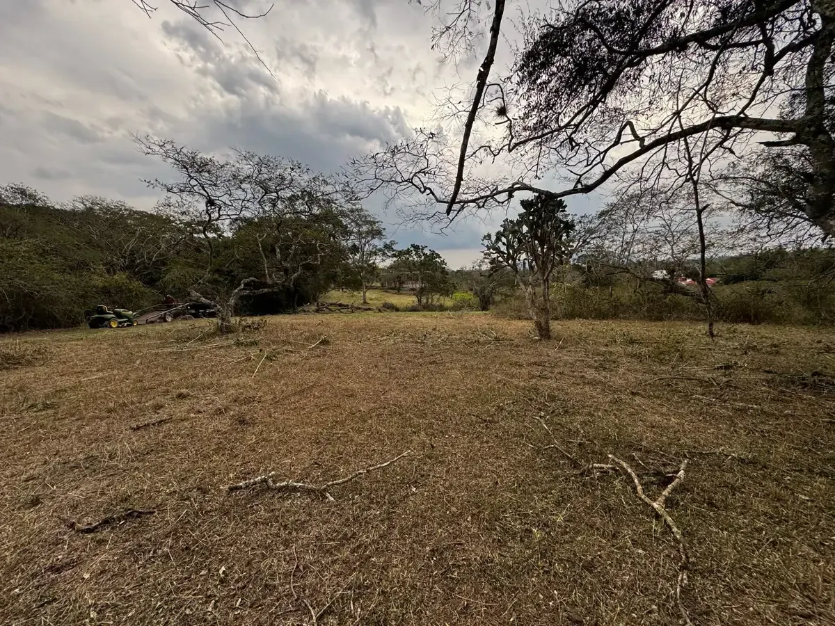Terreno Spot2