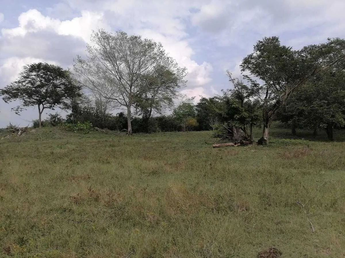 Terreno Spot2