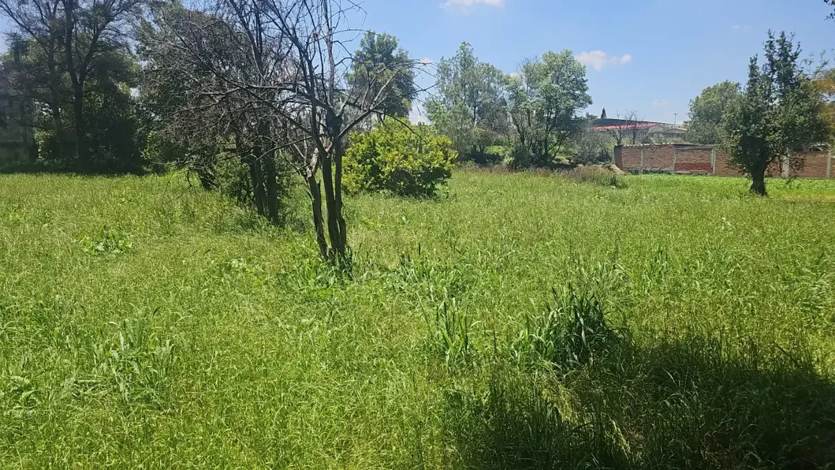 Terreno Spot2