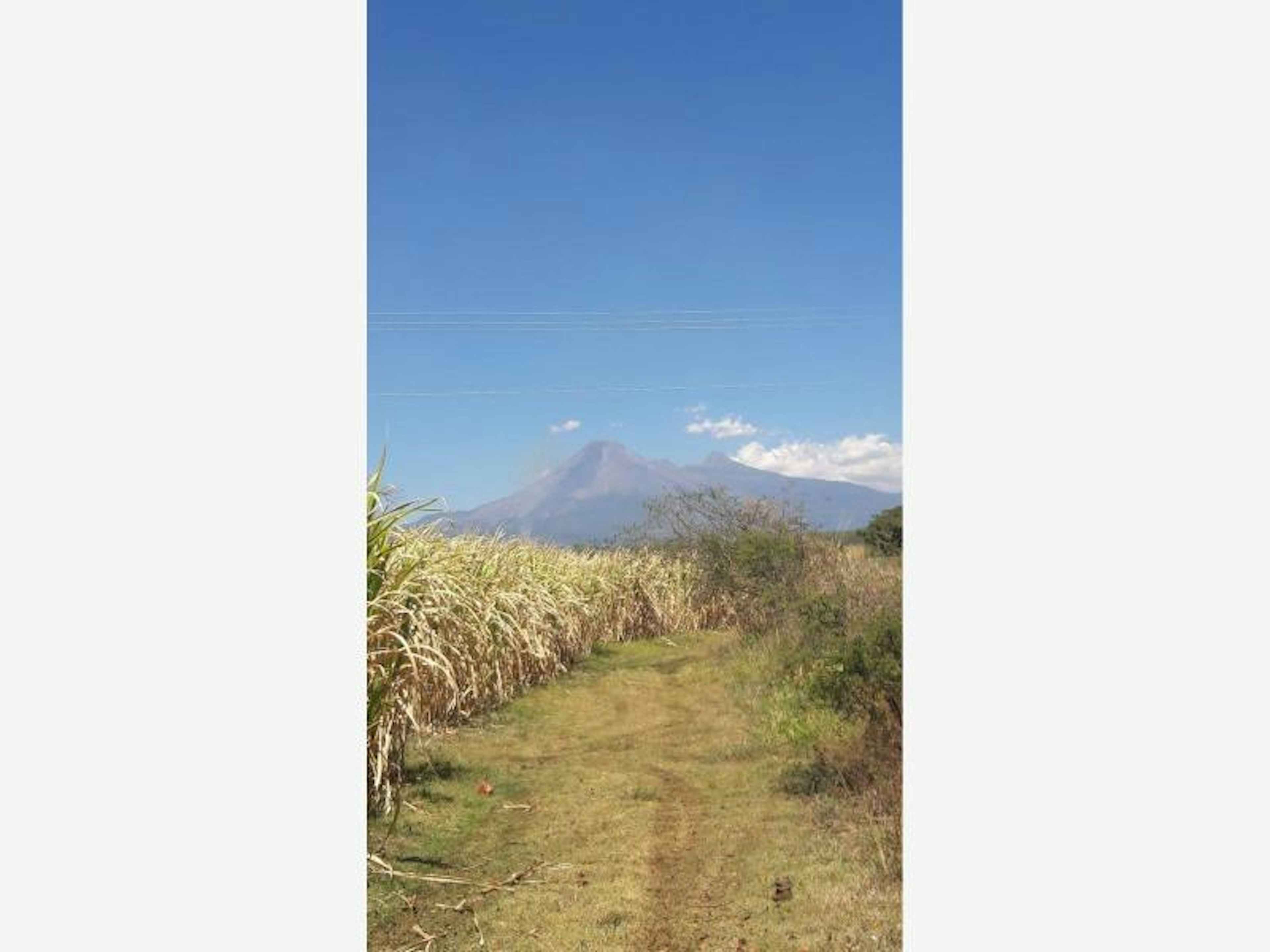 Terreno En Venta En Cuauhtemoc, Cuauhtémoc, Colima