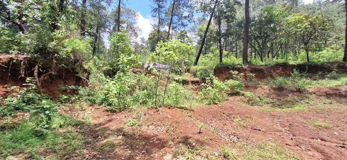 Terreno Spot2