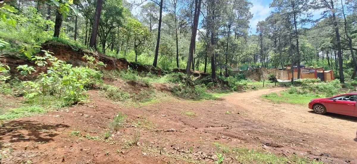 Terreno Spot2