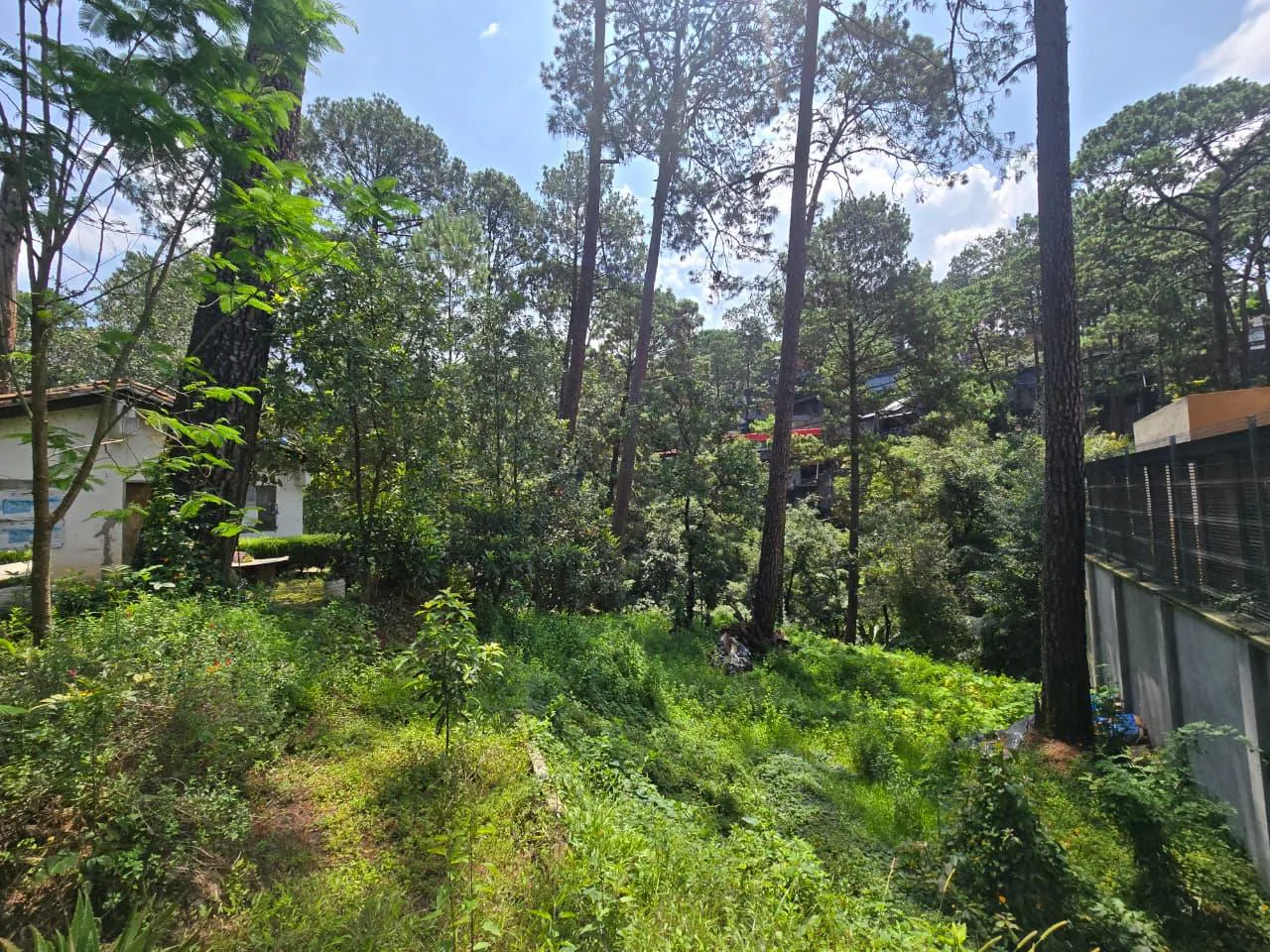 Terreno Spot2