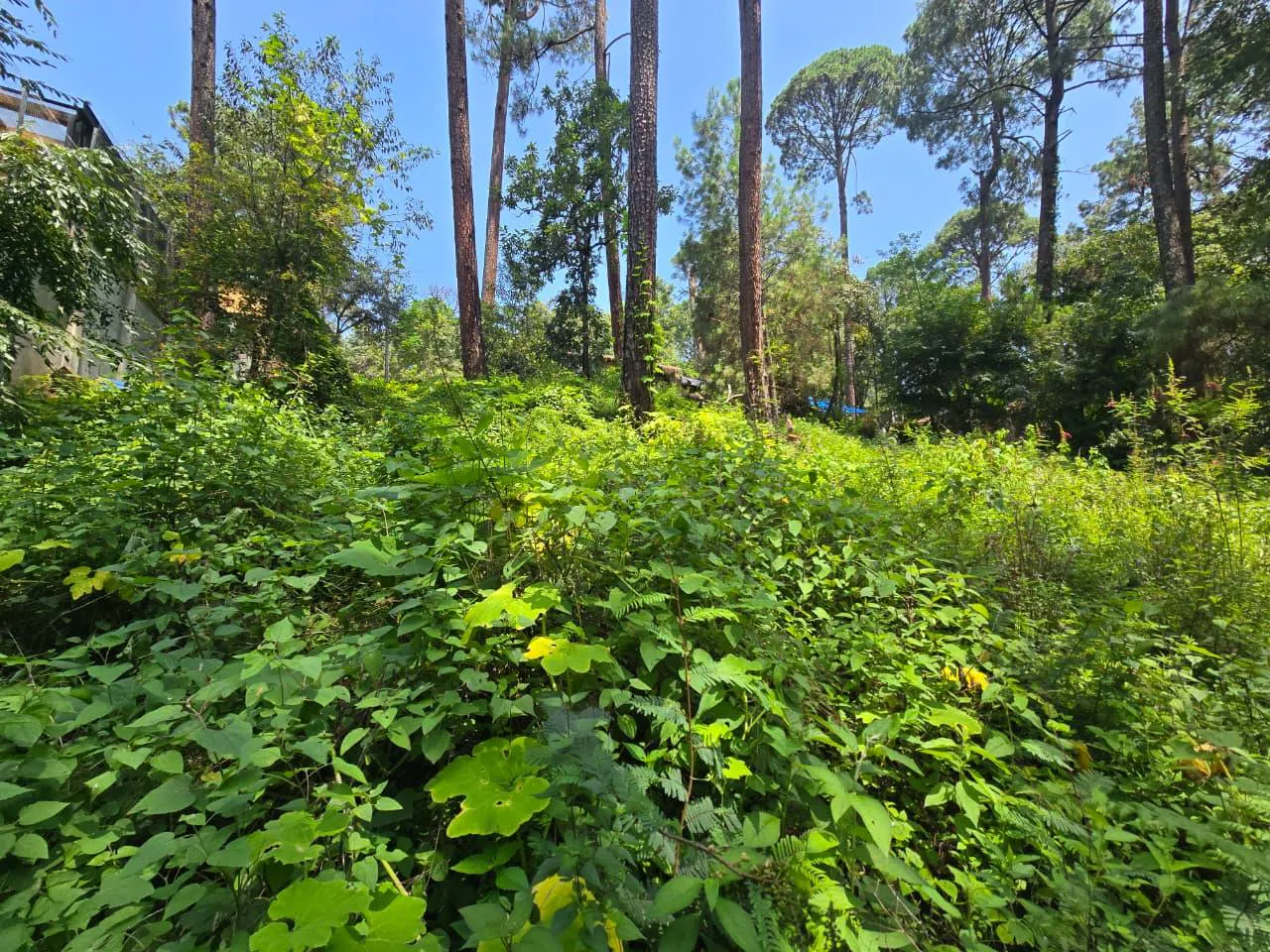 Terreno Spot2