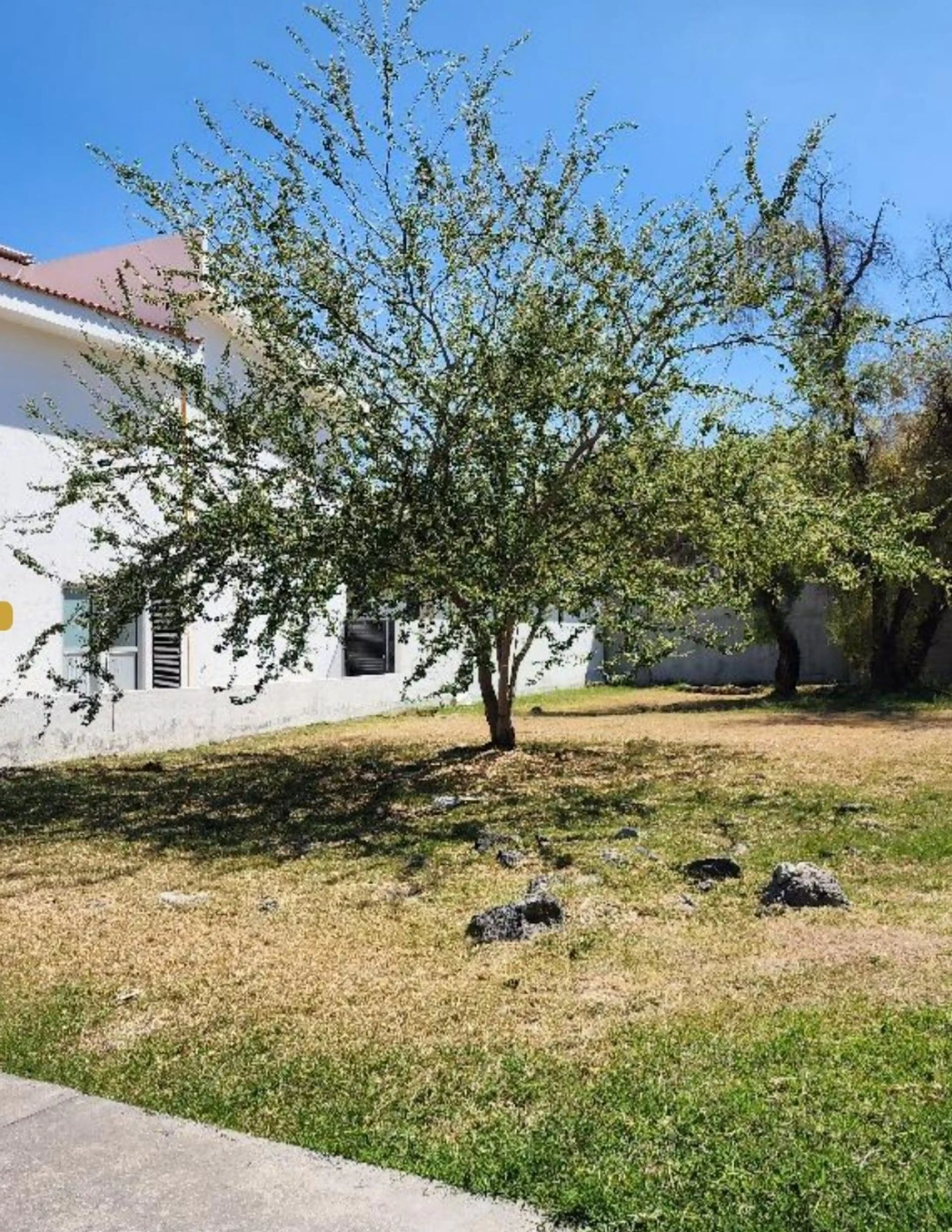 Terreno - Fraccionamiento Paraíso Country Club